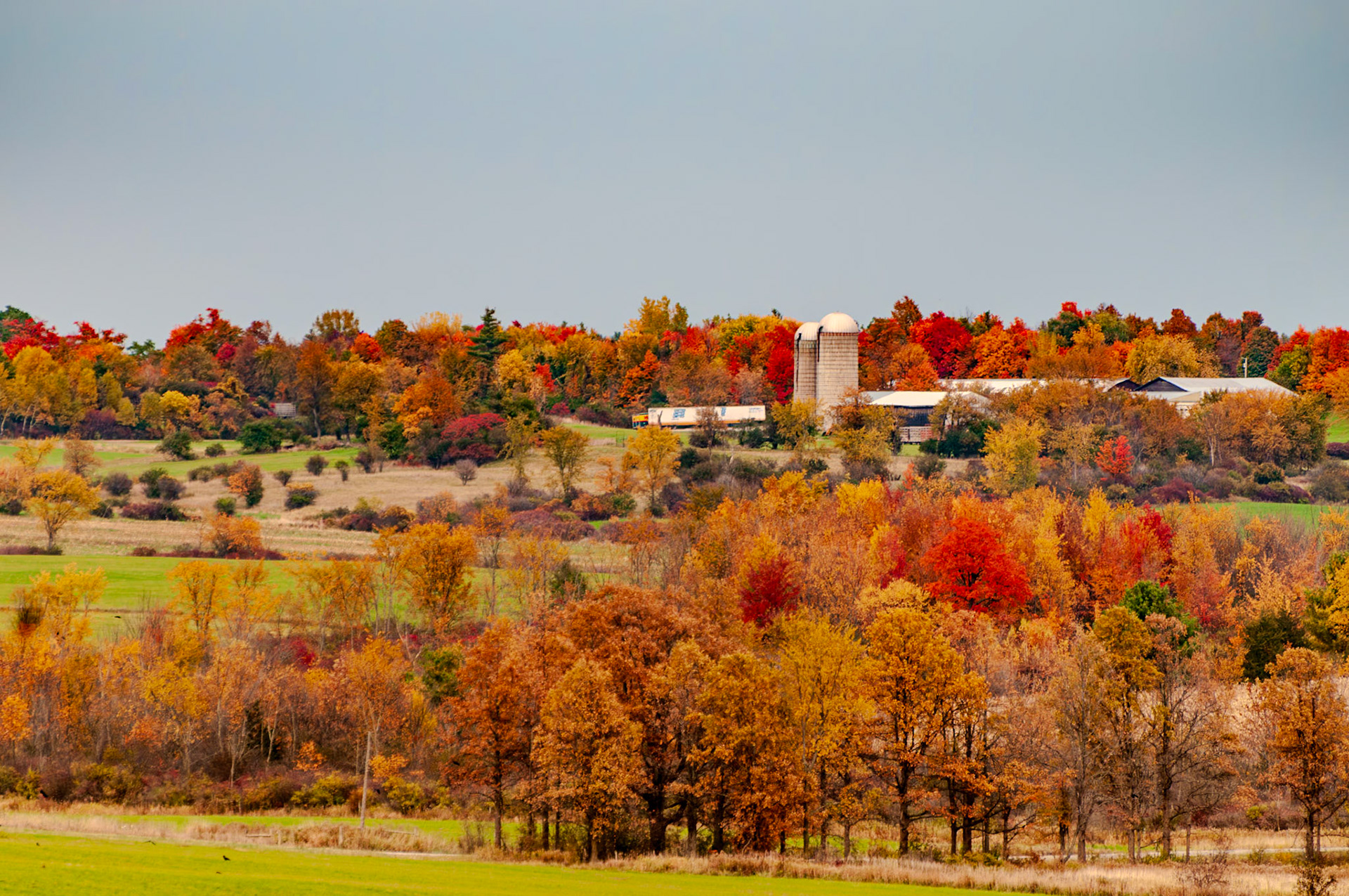 450 mm f/5.6 at 1/500 sec 0 EV 200 ISO ©Steven Mermelstein. All rights reserved. #20081013140242