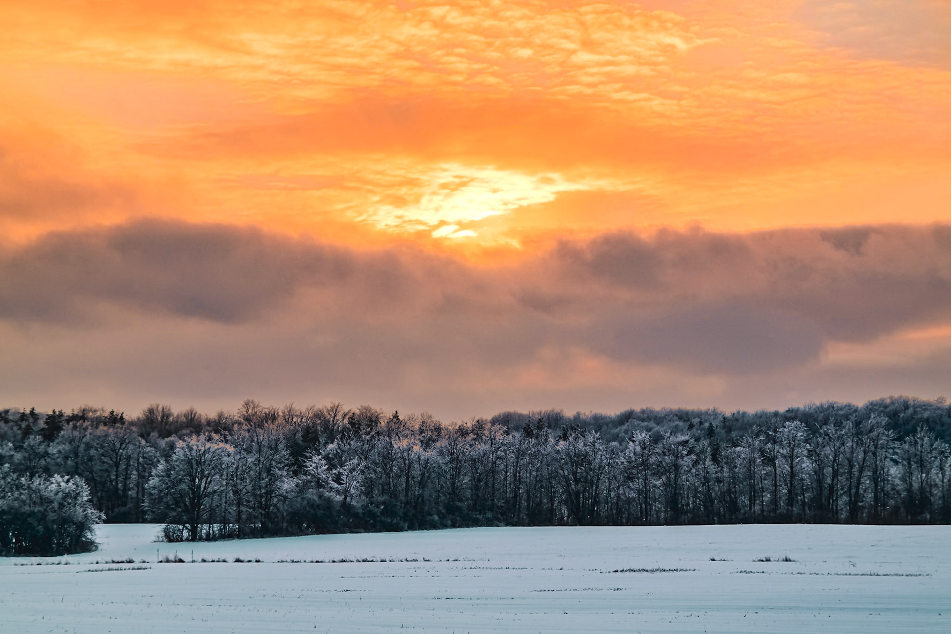 61 mm f/5.6 at 1/200 sec 0 EV 100 ISO ©Steven Mermelstein. All rights reserved. #20131224154748