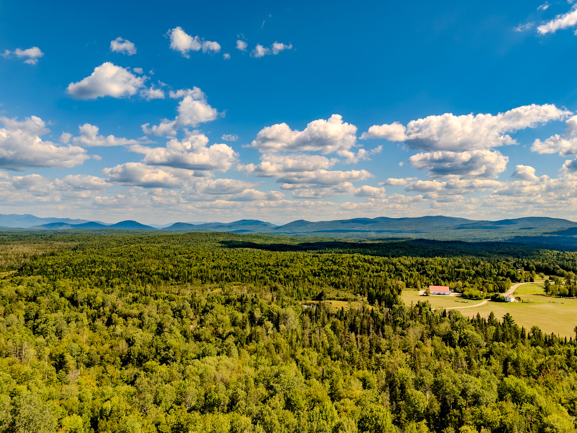 ©Steven Mermelstein. All rights reserved.