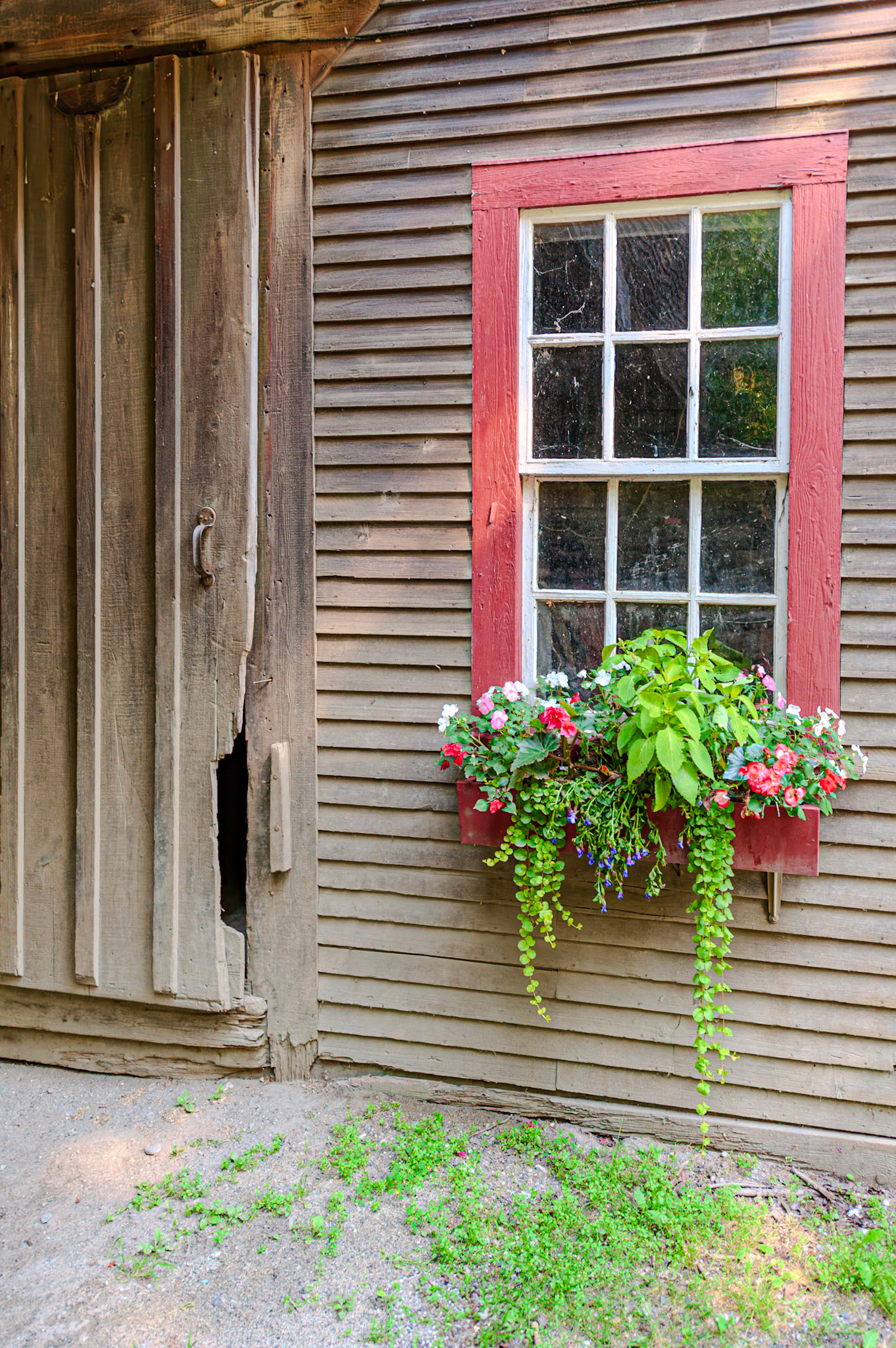 24 mm f/2.8 at 1/500 sec 0 EV 640 ISO ©Steven Mermelstein. All rights reserved. #20090801151813