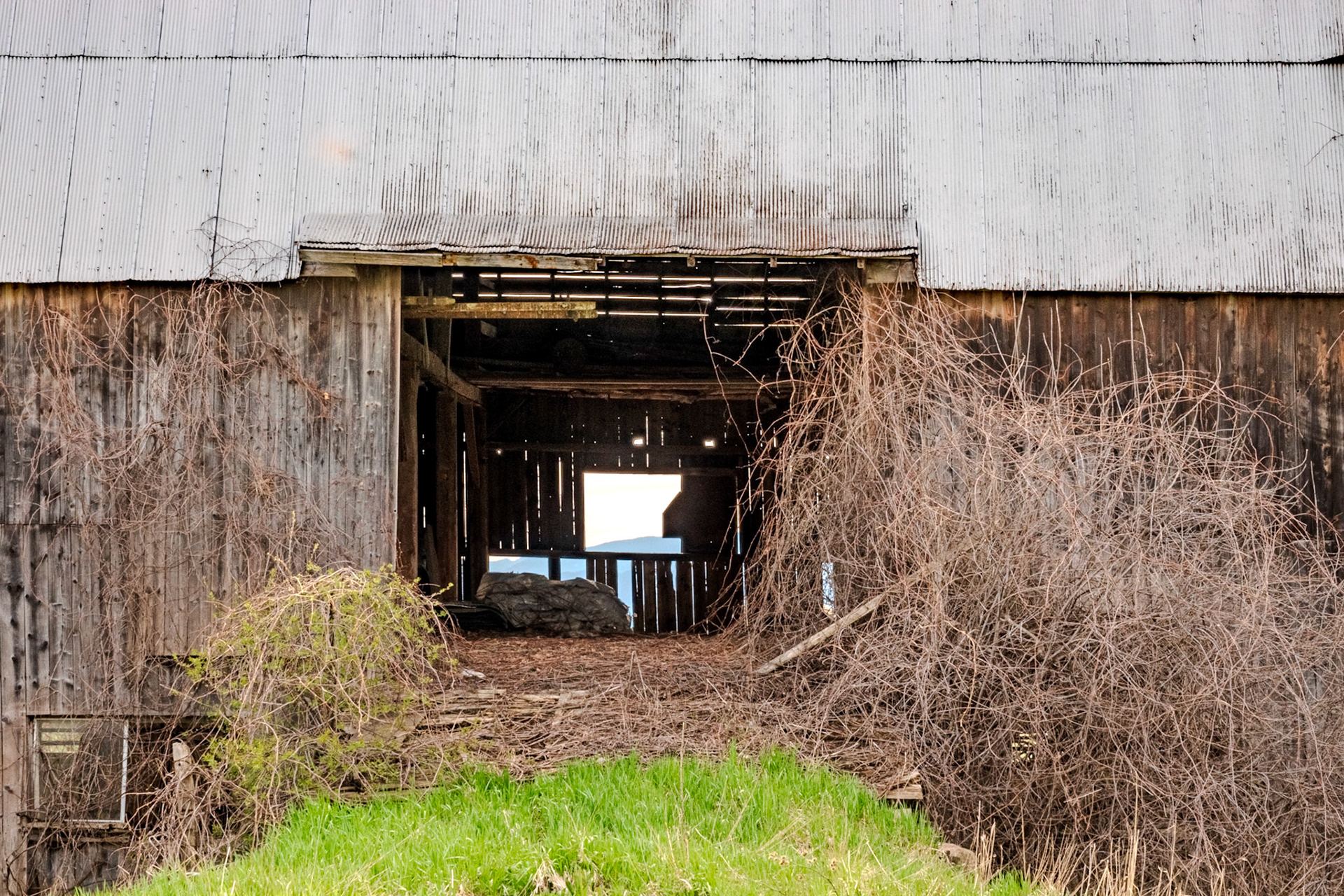 81 mm f/16 at 1/640 sec -4 EV 100 ISO ©Steven Mermelstein. All rights reserved. #20190505161158