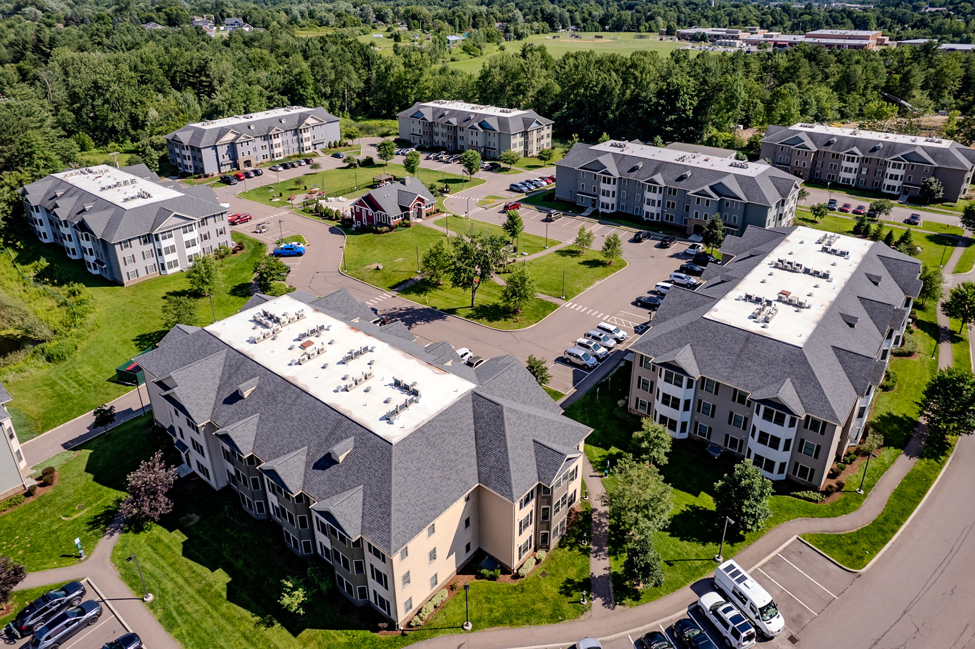 ©Steven Mermelstein. All rights reserved.