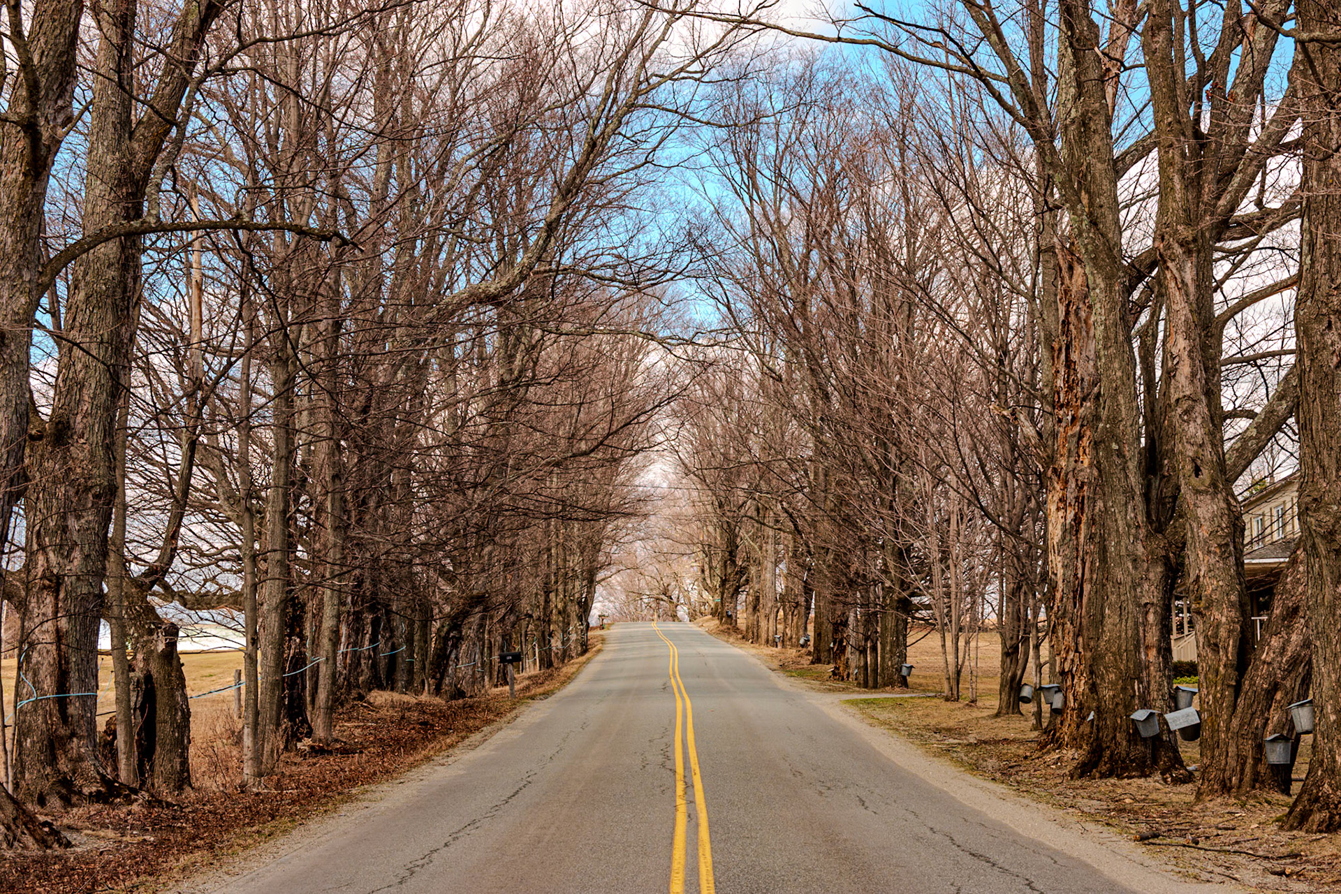 77 mm f/9.0 at 1/125 sec 0 EV 200 ISO ©Steven Mermelstein. All rights reserved. #20160402141322