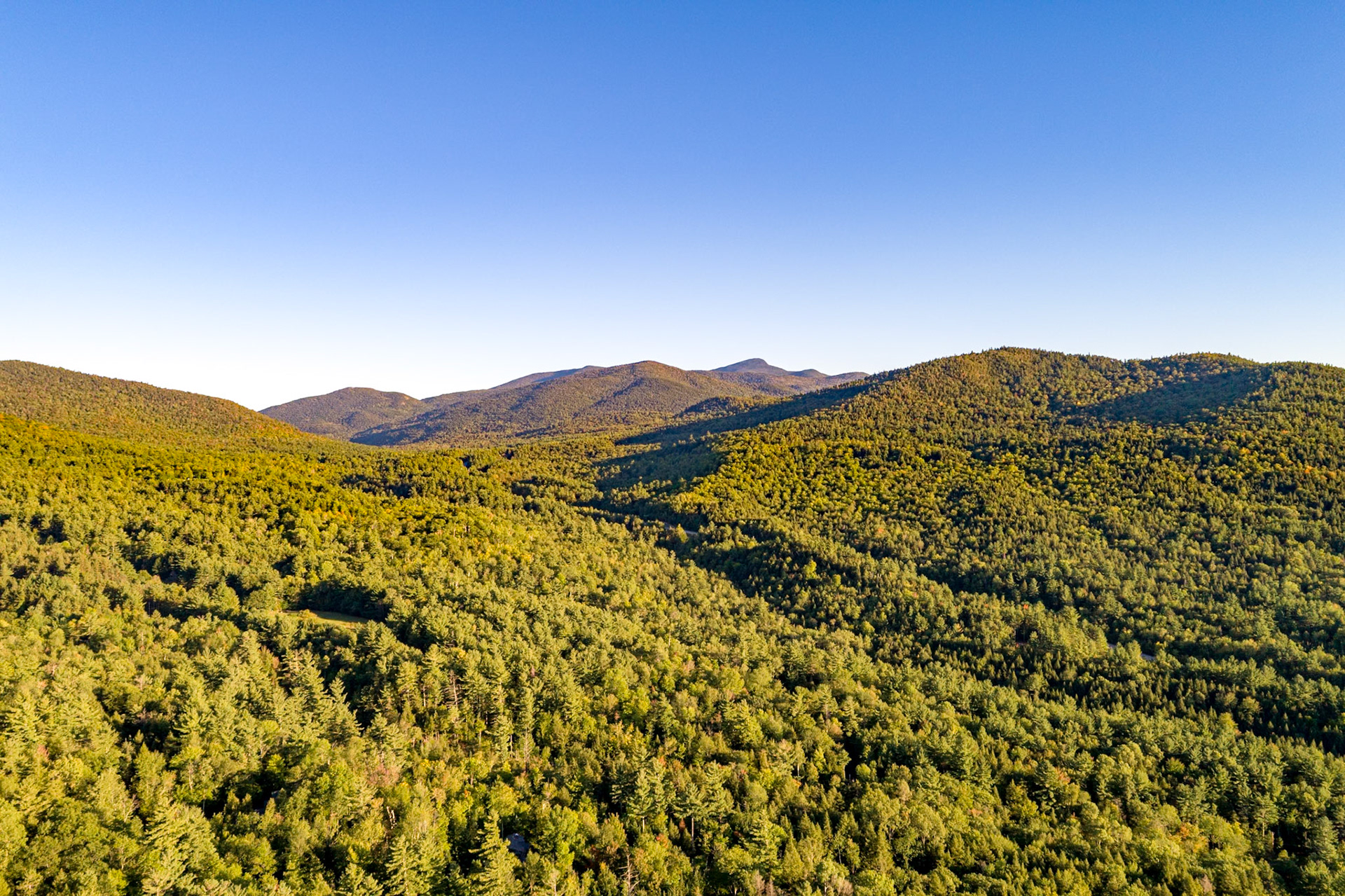 ©Steven Mermelstein. All rights reserved.