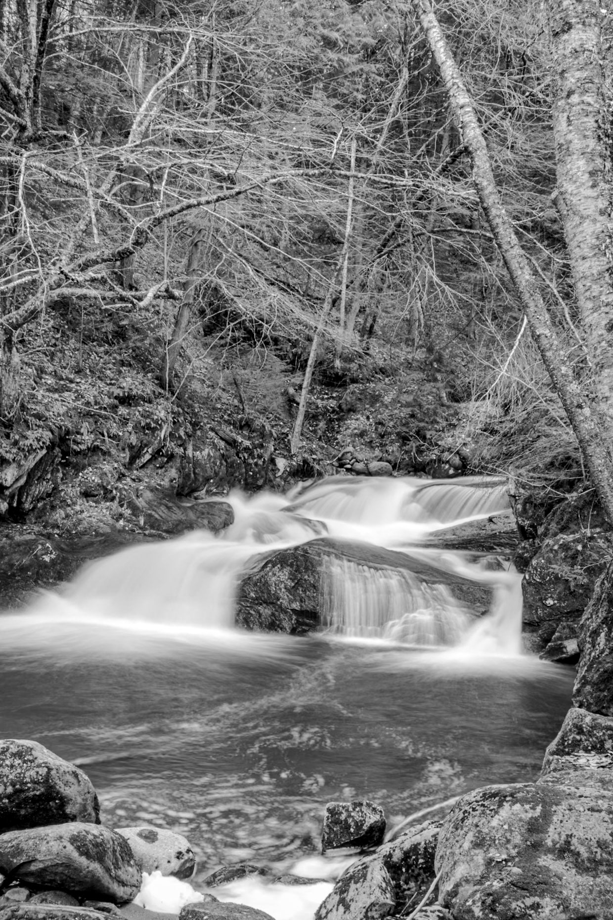 24 mm f/22 at 3.0 sec 0 EV 100 ISO ©Steven Mermelstein. All rights reserved. #20160402144416