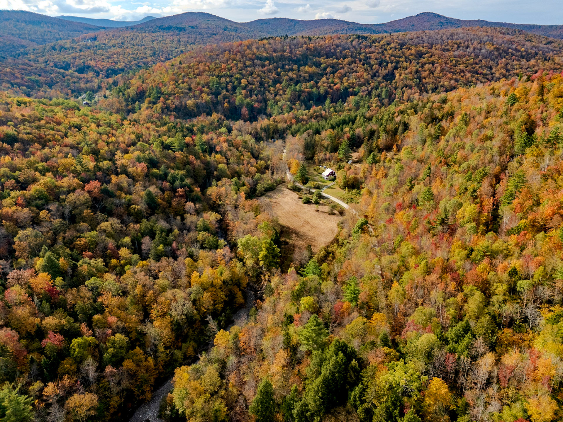 ©Steven Mermelstein. All rights reserved.