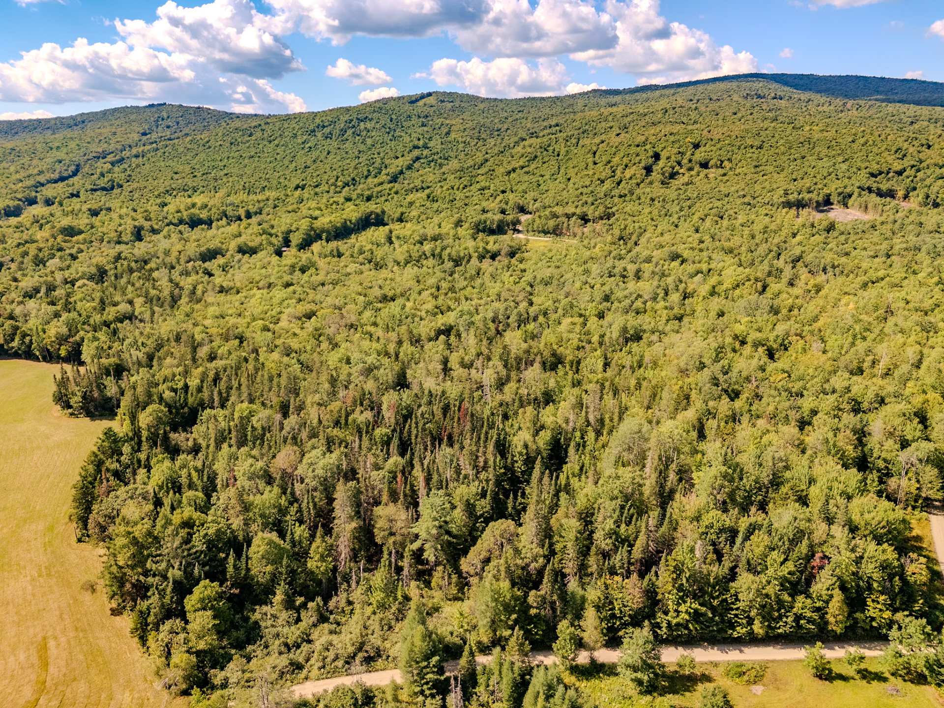 ©Steven Mermelstein. All rights reserved.