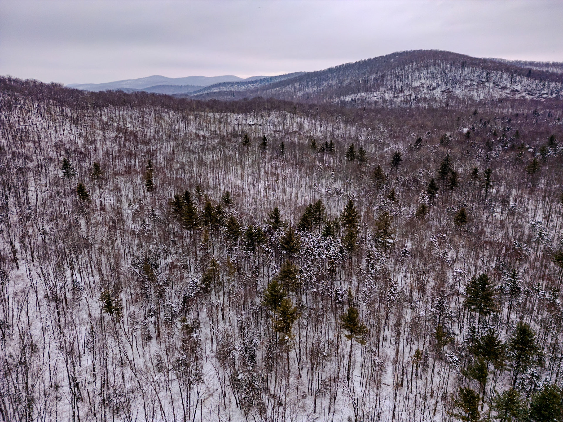 ©Steven Mermelstein. All rights reserved. #20250113140339