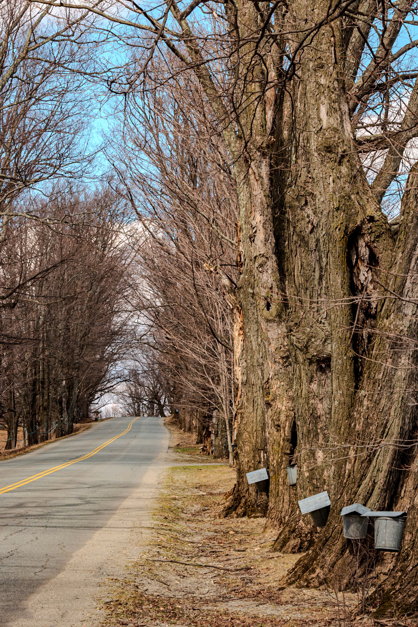 92 mm f/9.0 at 1/125 sec 0 EV 200 ISO ©Steven Mermelstein. All rights reserved. #20160402141227