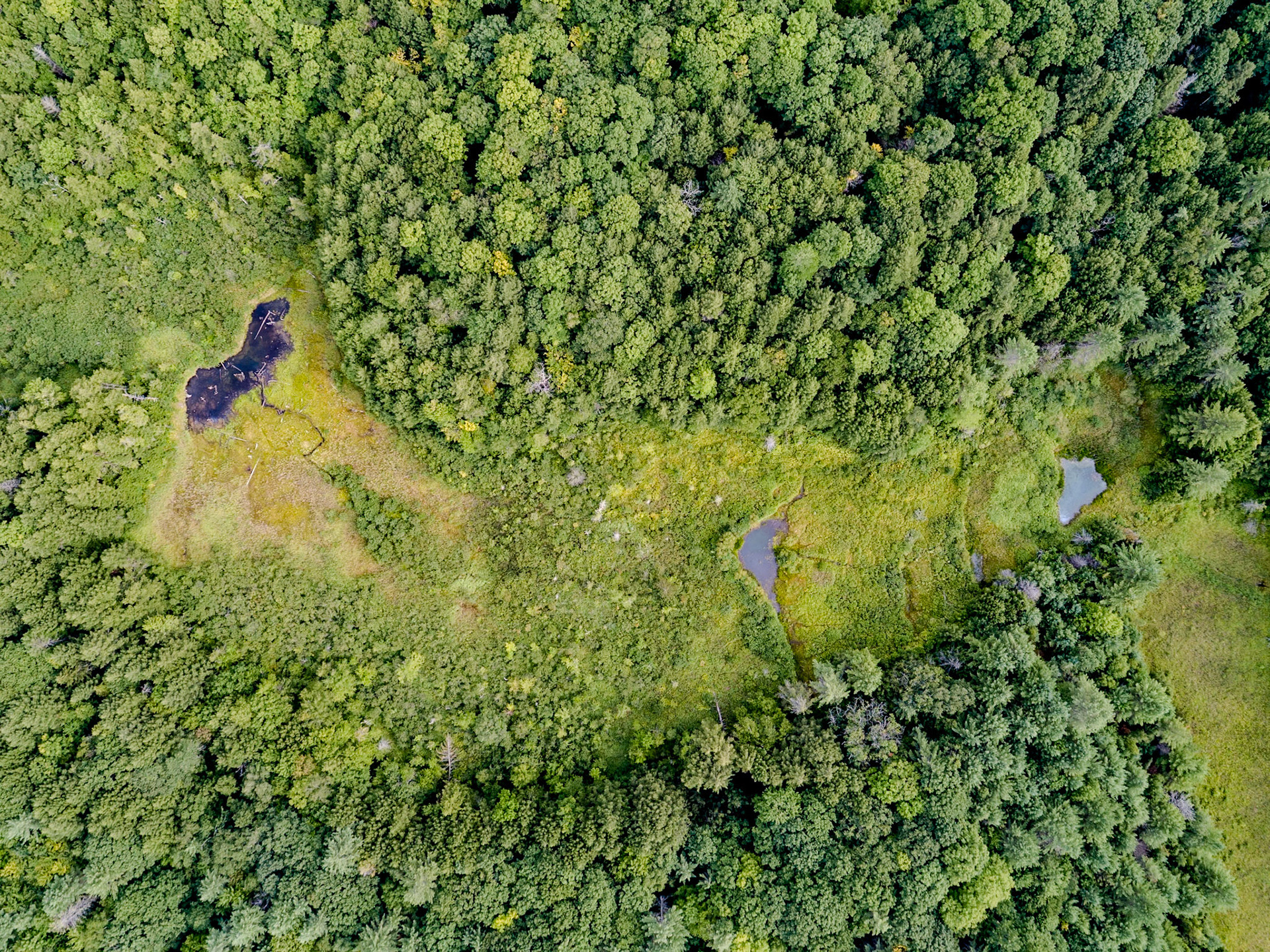 ©Steven Mermelstein. All rights reserved.