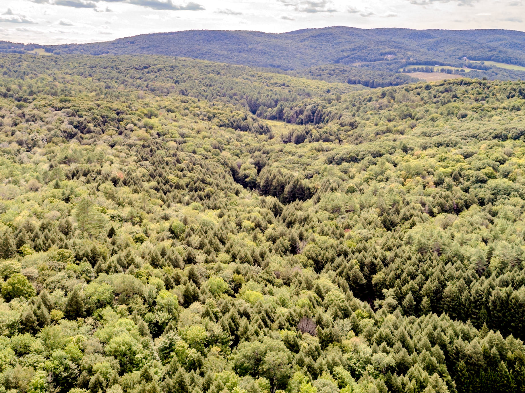 ©Steven Mermelstein. All rights reserved.