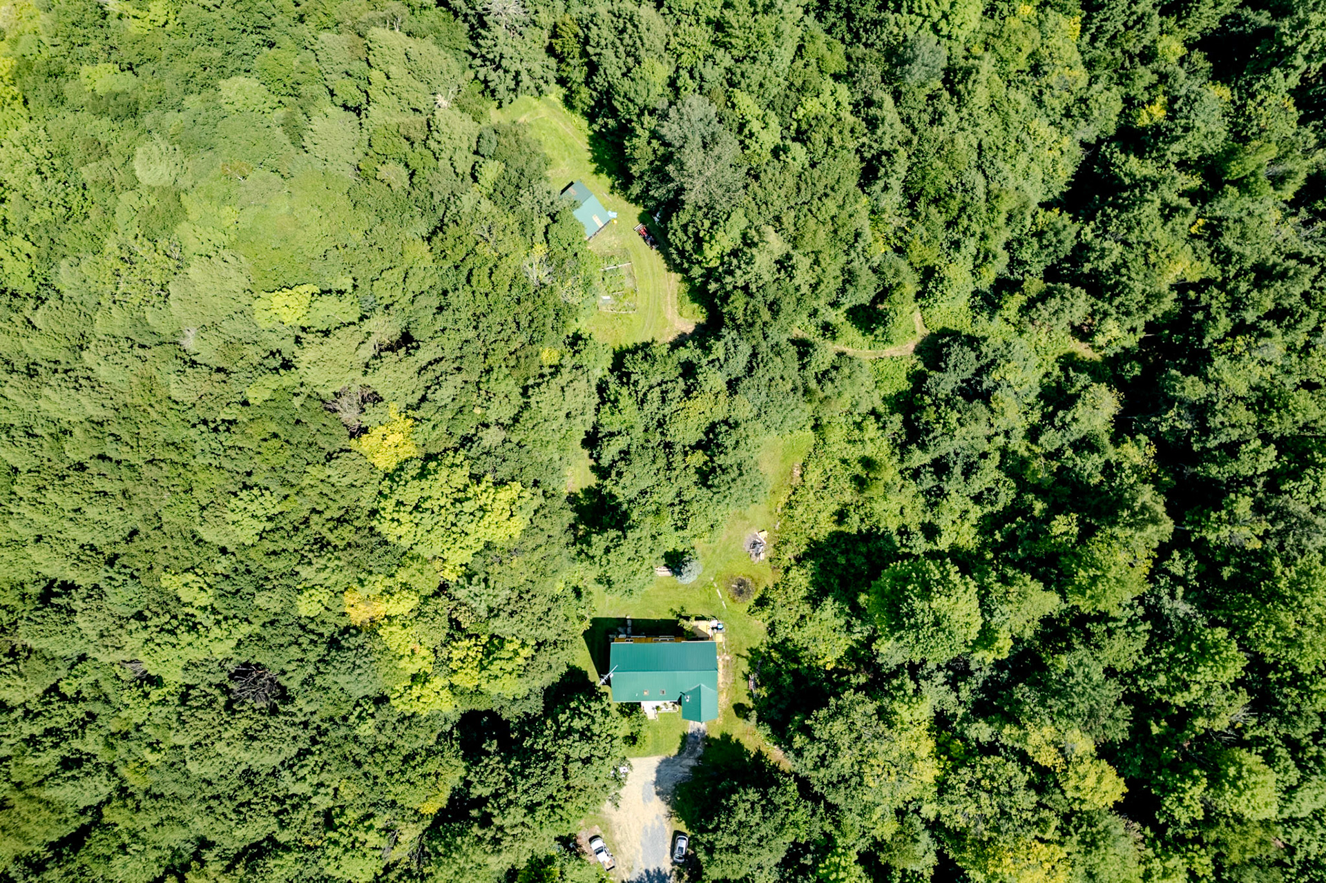 ©Steven Mermelstein. All rights reserved.