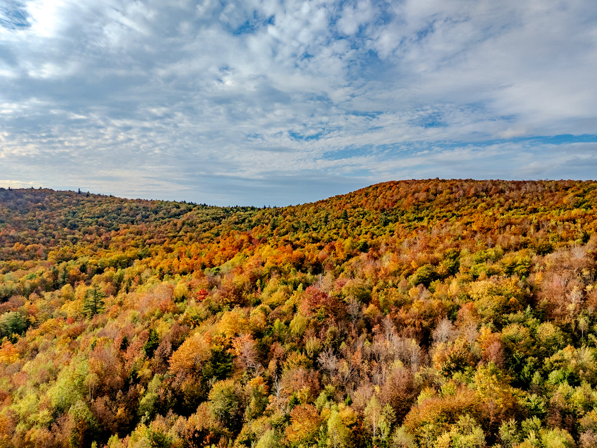 ©Steven Mermelstein. All rights reserved.