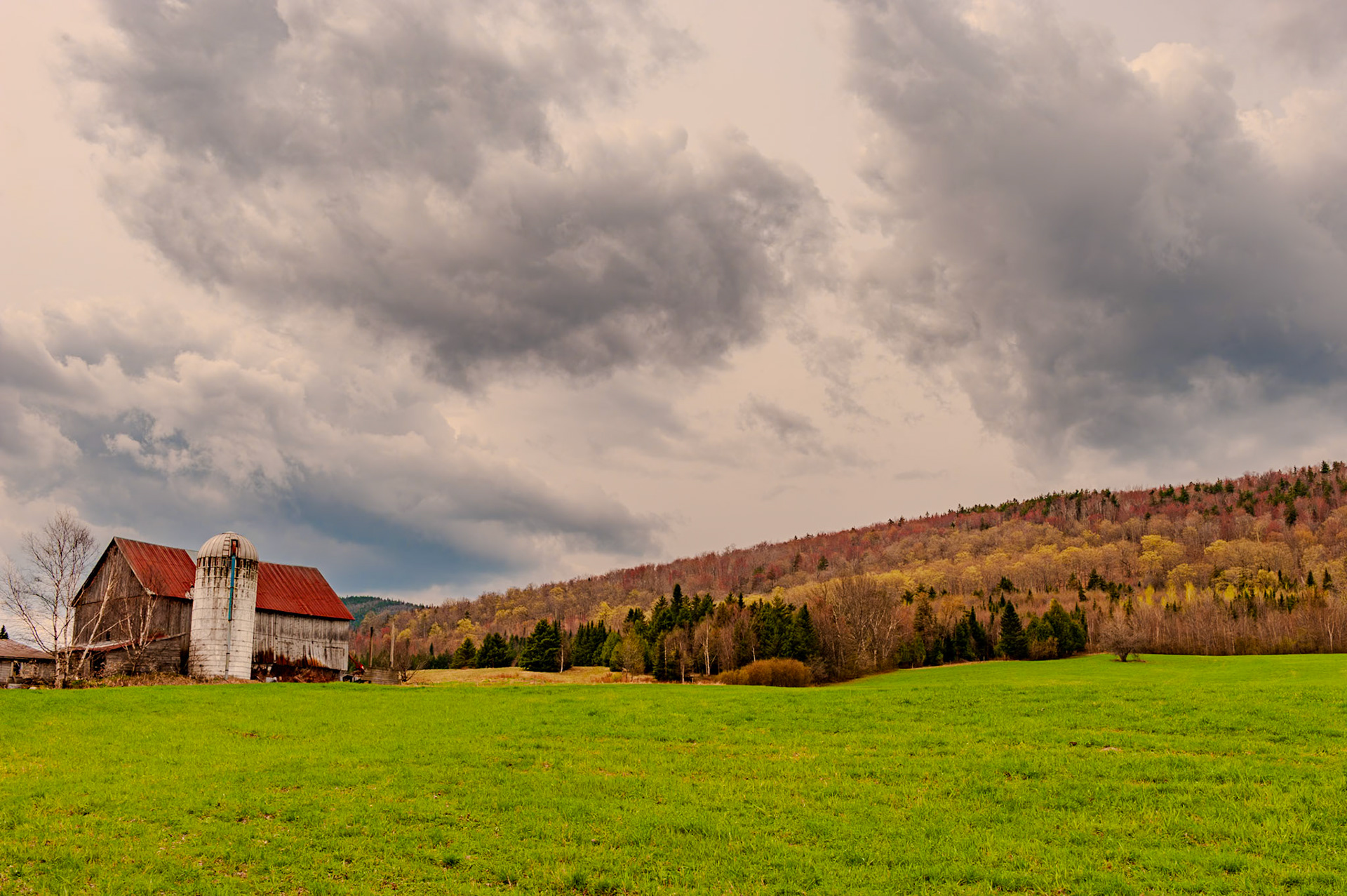 32 mm f/11 at 1/750 sec 0 EV 200 ISO ©Steven Mermelstein. All rights reserved. #20080503111307