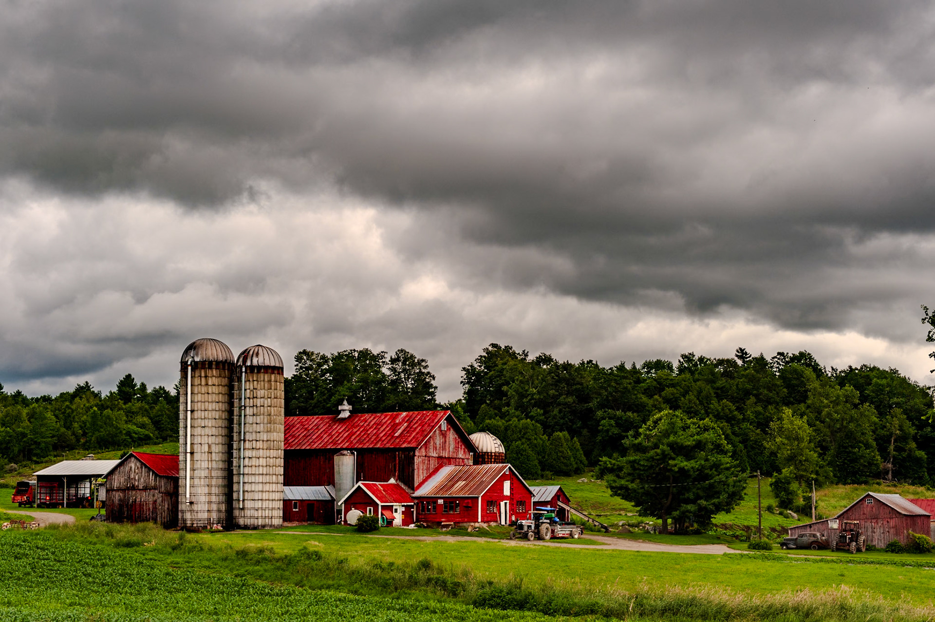 48 mm f/8.0 at 1/500 sec 0 EV 200 ISO ©Steven Mermelstein. All rights reserved. #20090704160952
