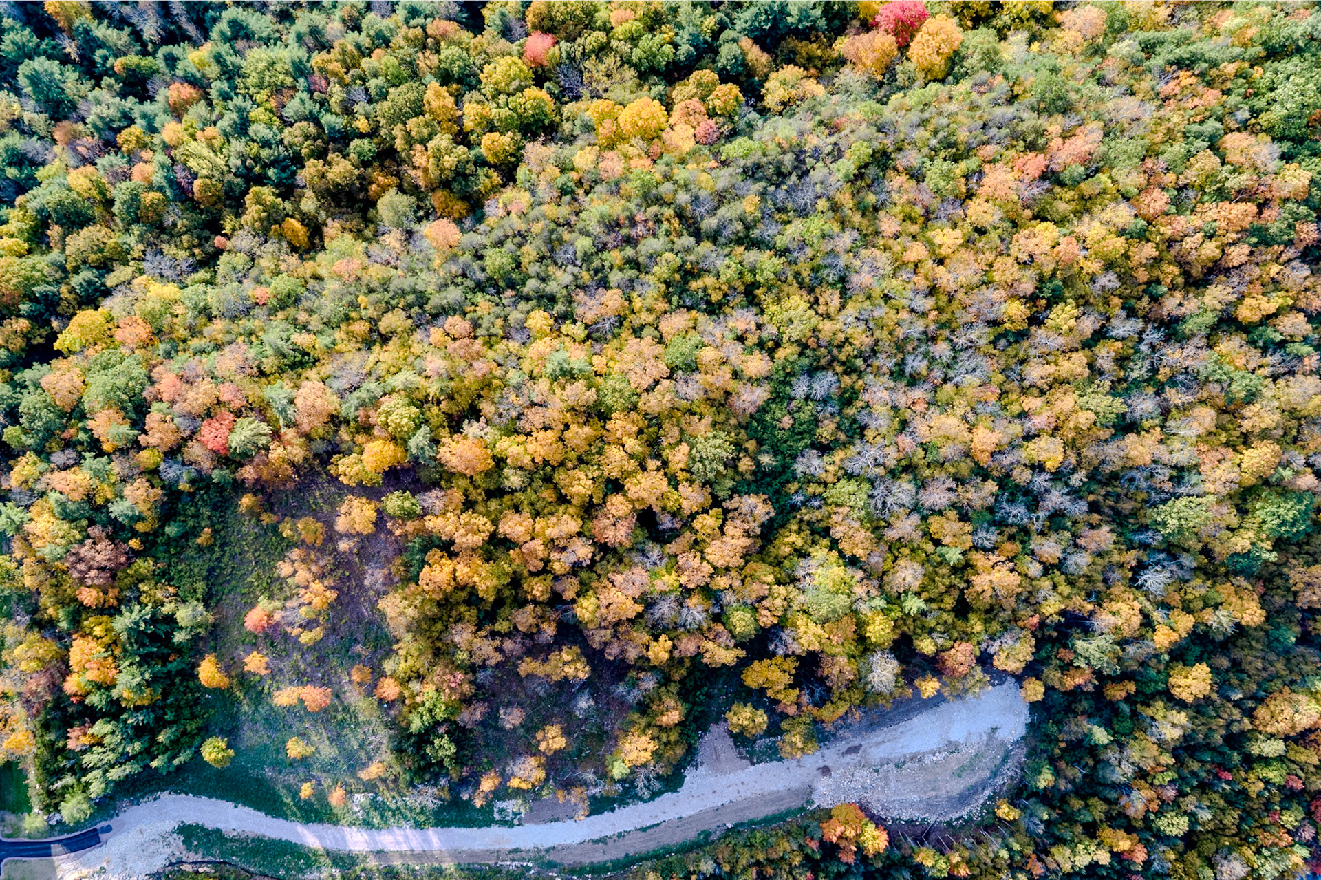 ©Steven Mermelstein. All rights reserved.