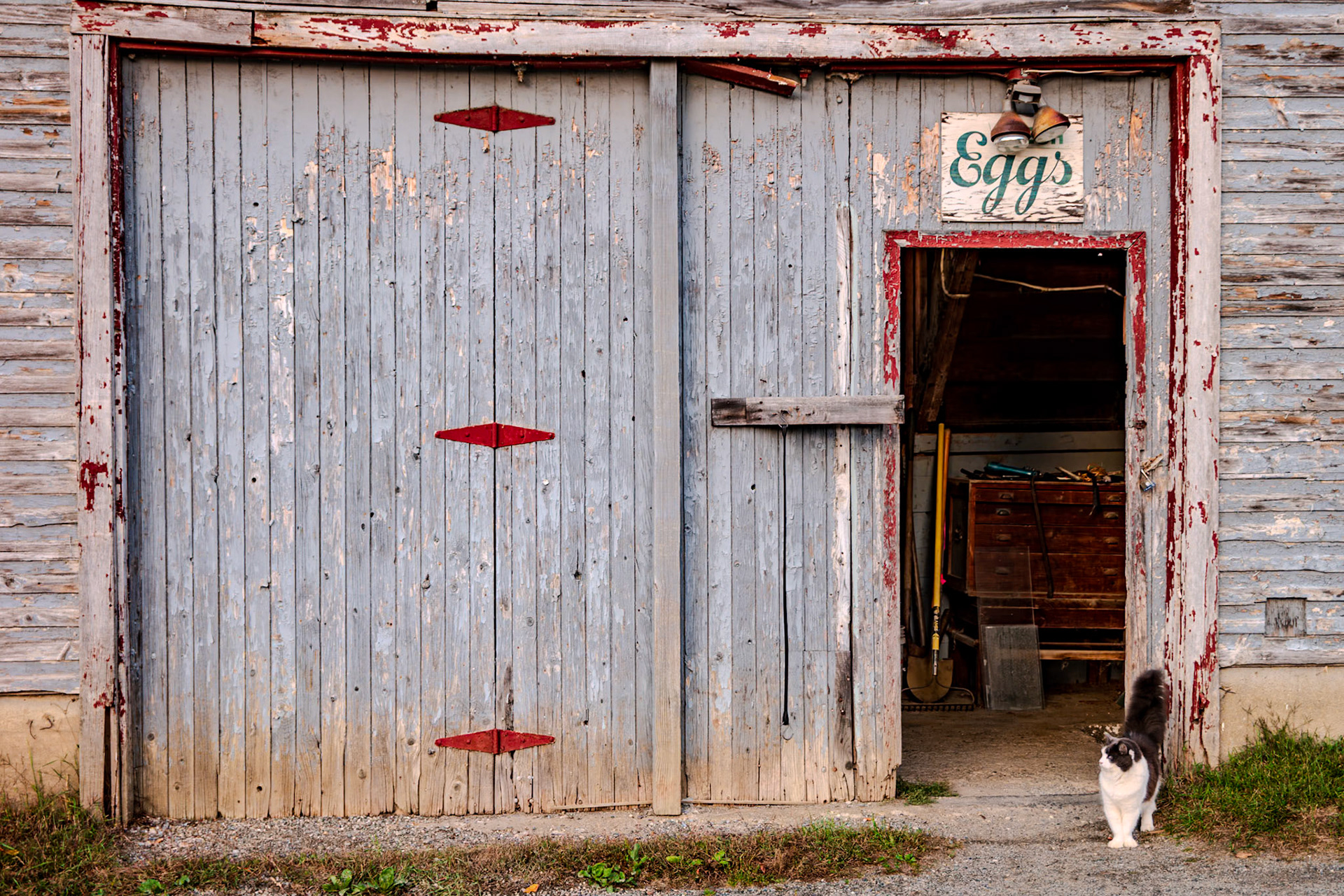 46 mm f/2.5 at 1/100 sec 0 EV 200 ISO ©Steven Mermelstein. All rights reserved. #20151001181704