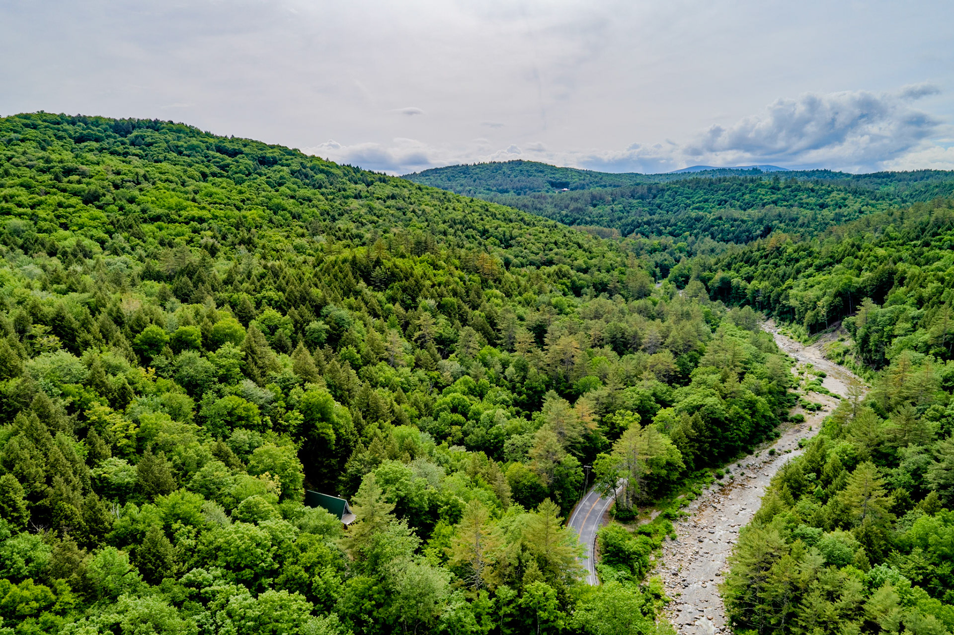 ©Steven Mermelstein. All rights reserved.