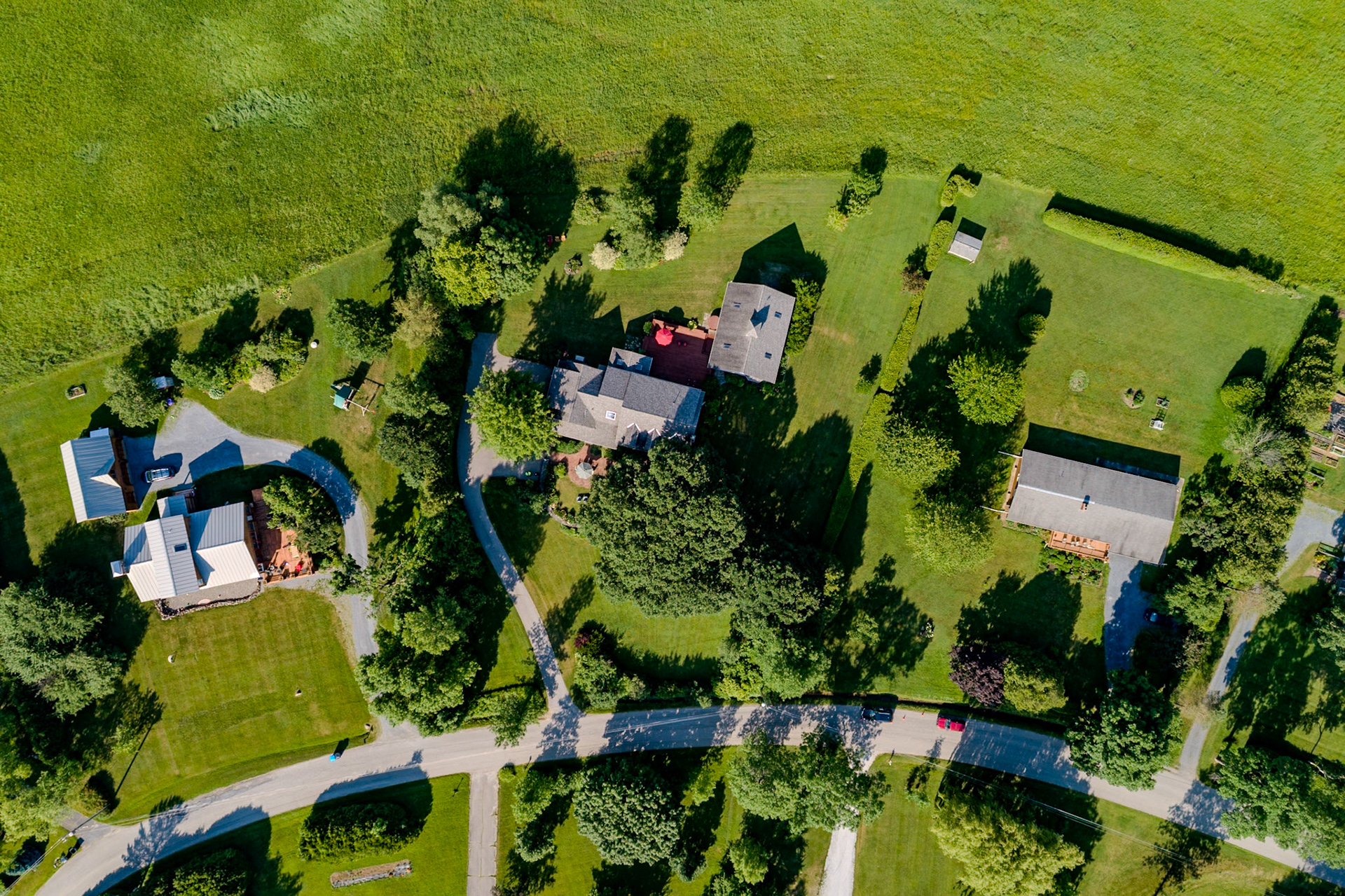 ©Steven Mermelstein. All rights reserved.