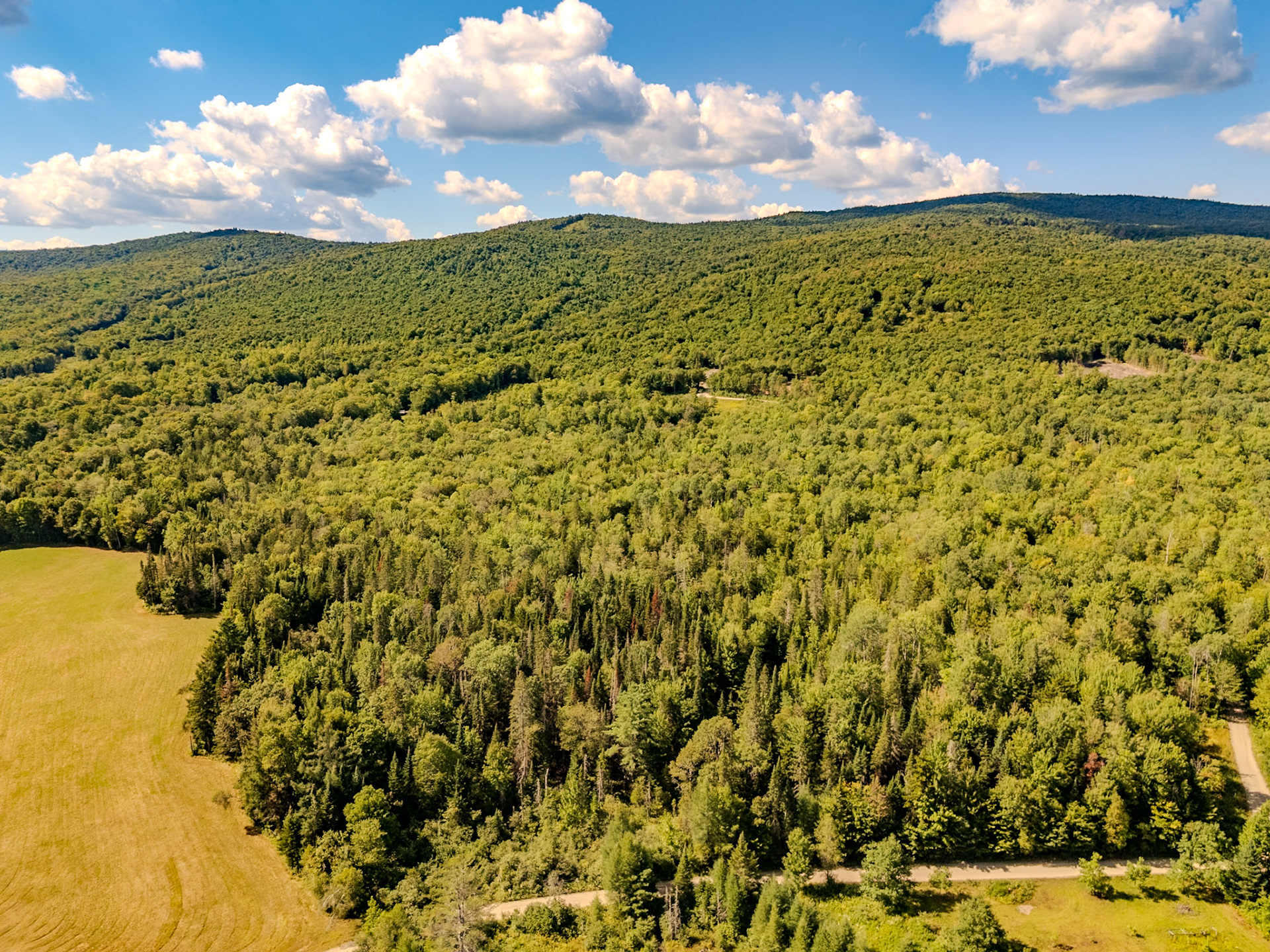 ©Steven Mermelstein. All rights reserved.