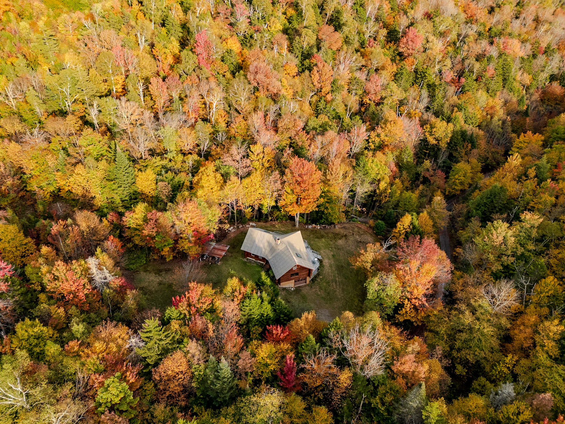 ©Steven Mermelstein. All rights reserved.