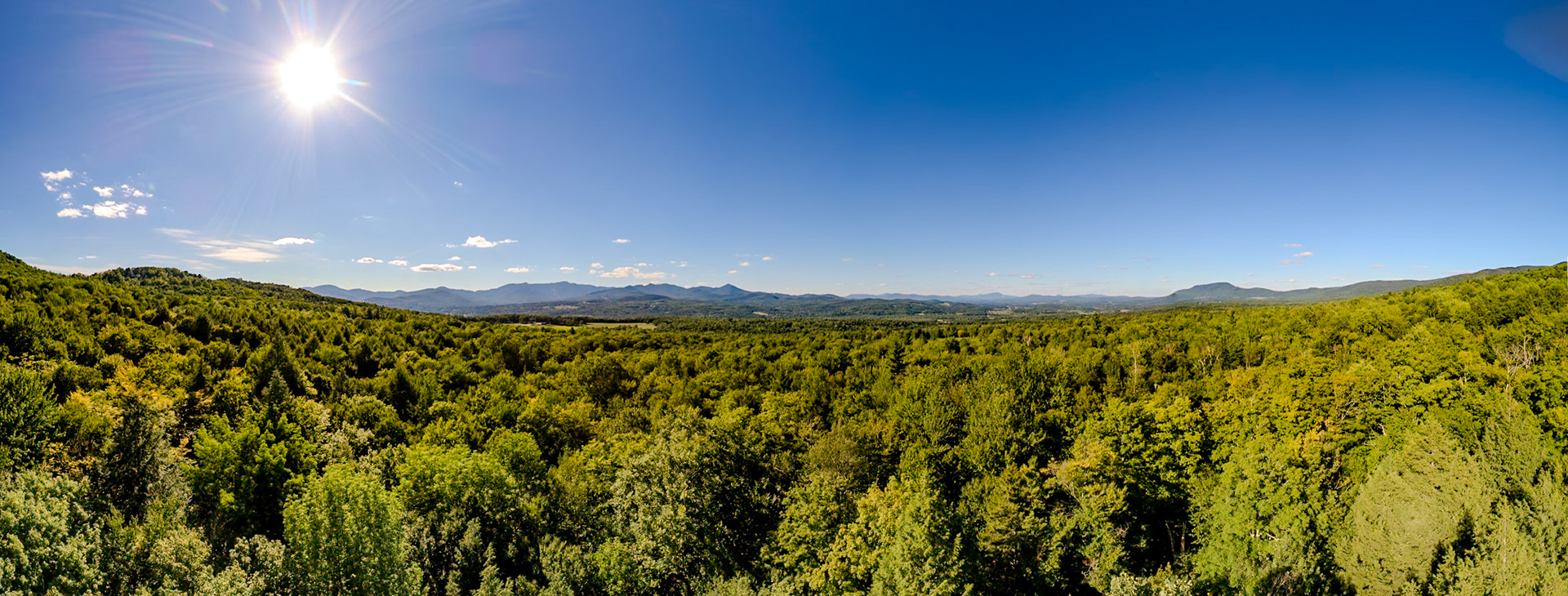 ©Steven Mermelstein. All rights reserved.