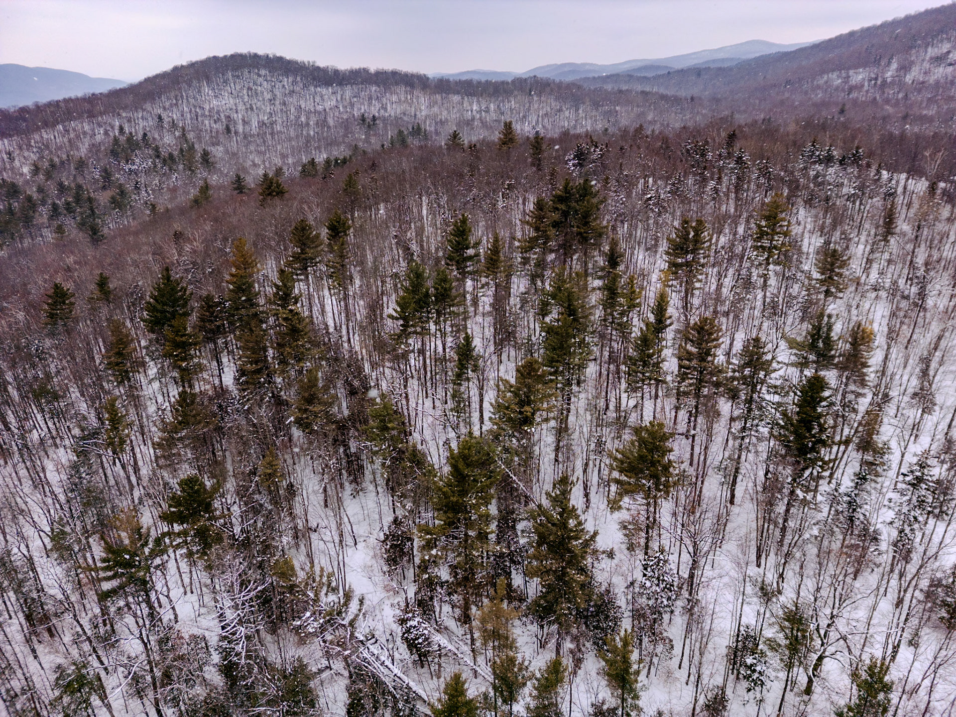 ©Steven Mermelstein. All rights reserved.