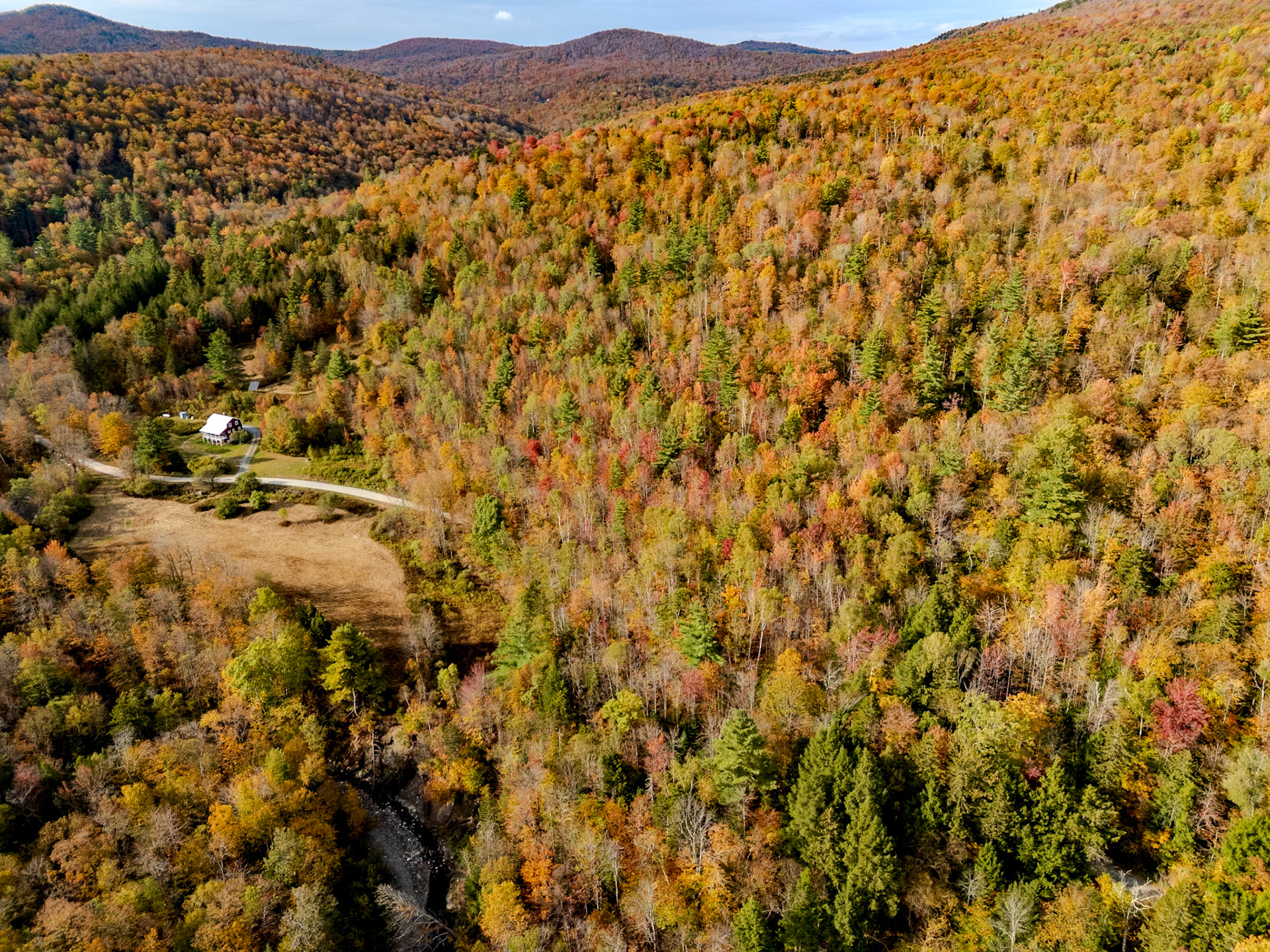 ©Steven Mermelstein. All rights reserved.