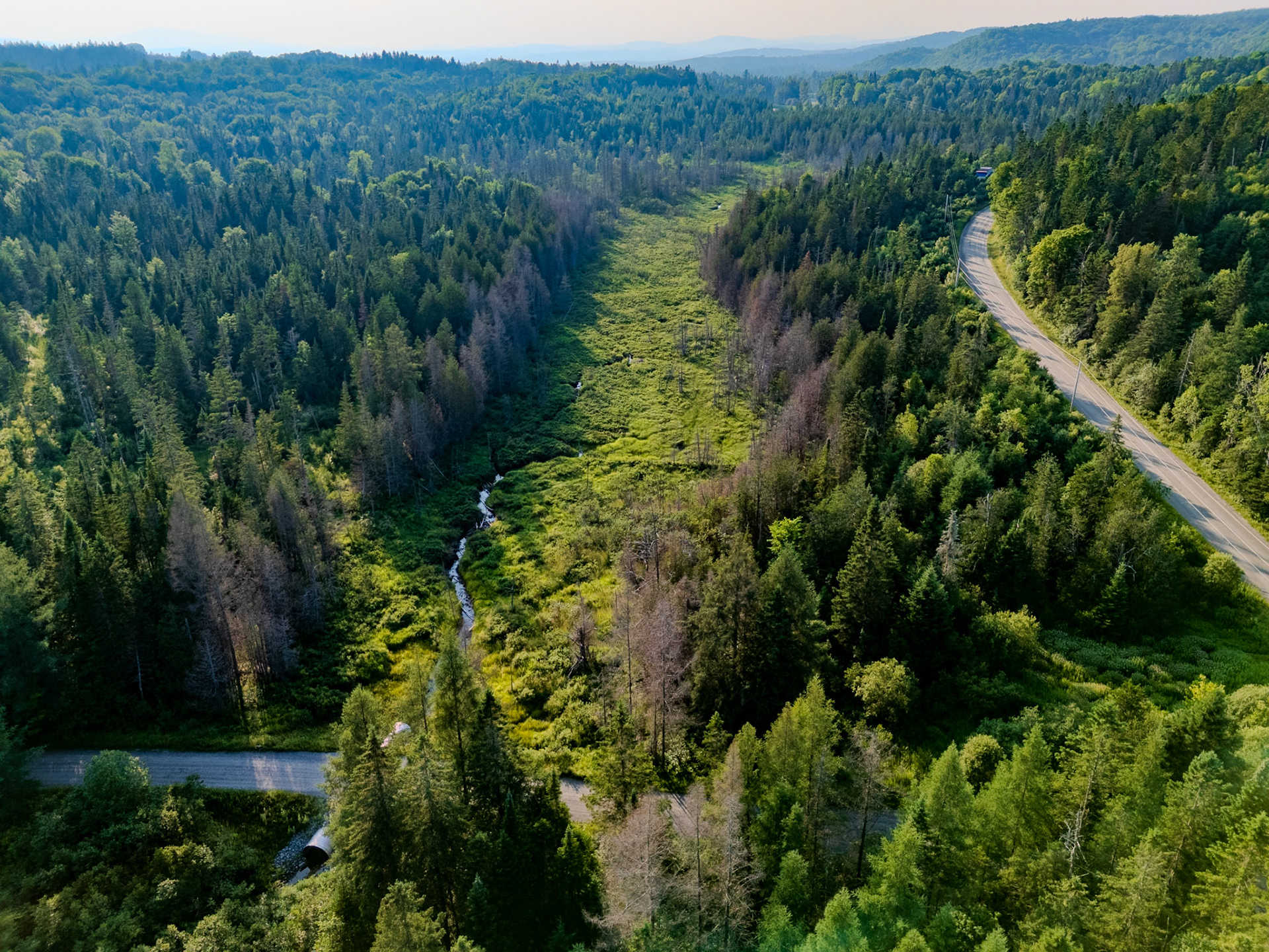 ©Steven Mermelstein. All rights reserved.