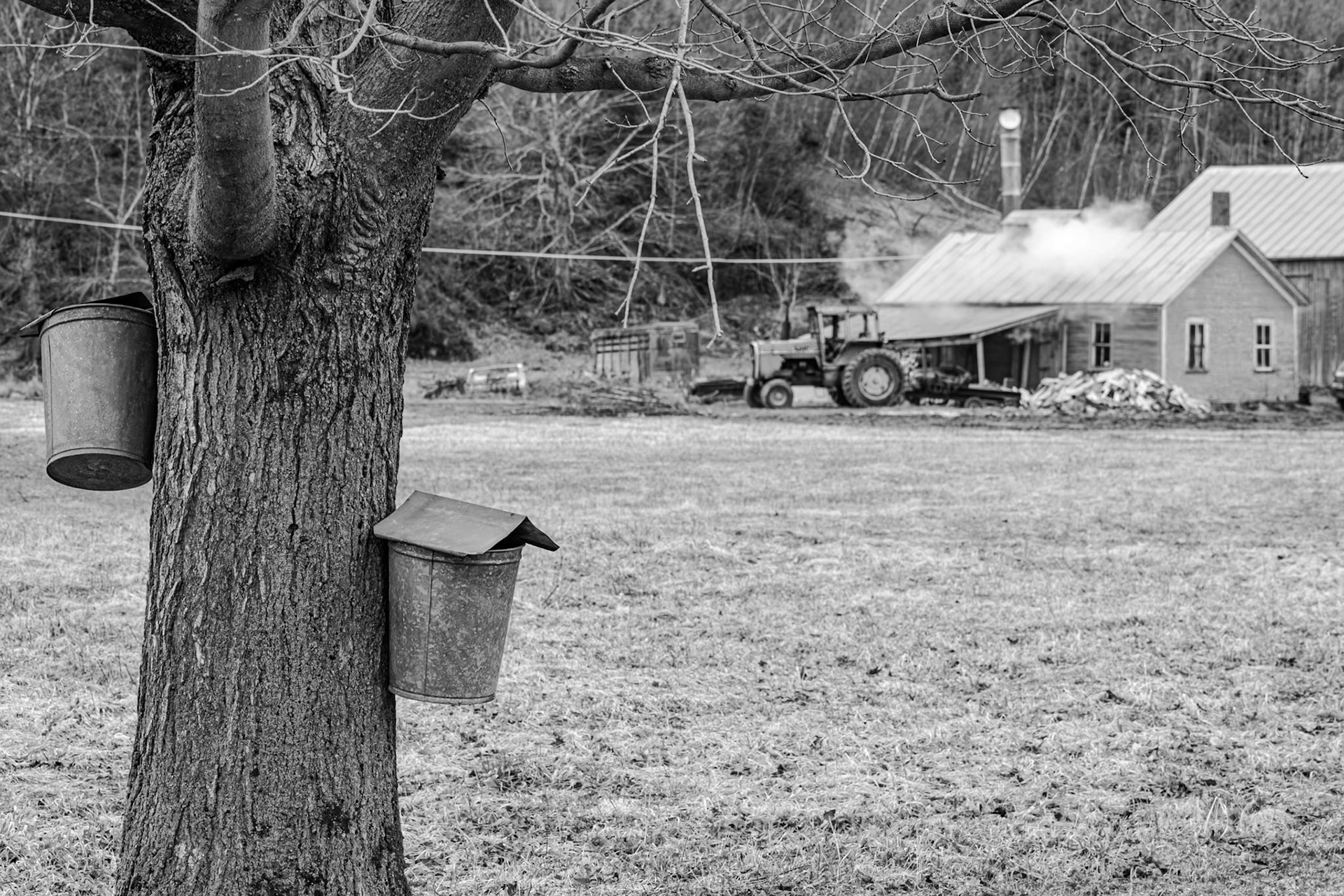 120 mm f/8.0 at 1/100 sec 0 EV 200 ISO ©Steven Mermelstein. All rights reserved. #20160402155907