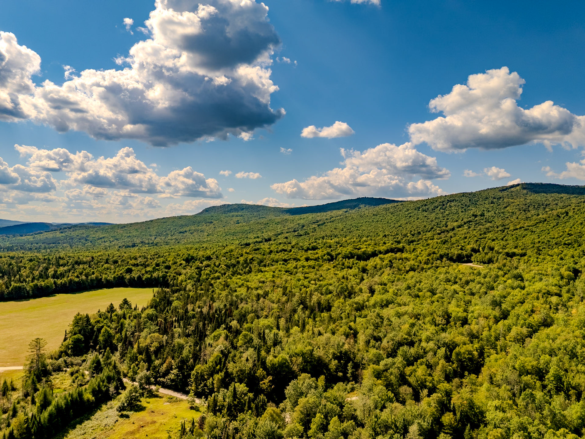 ©Steven Mermelstein. All rights reserved.