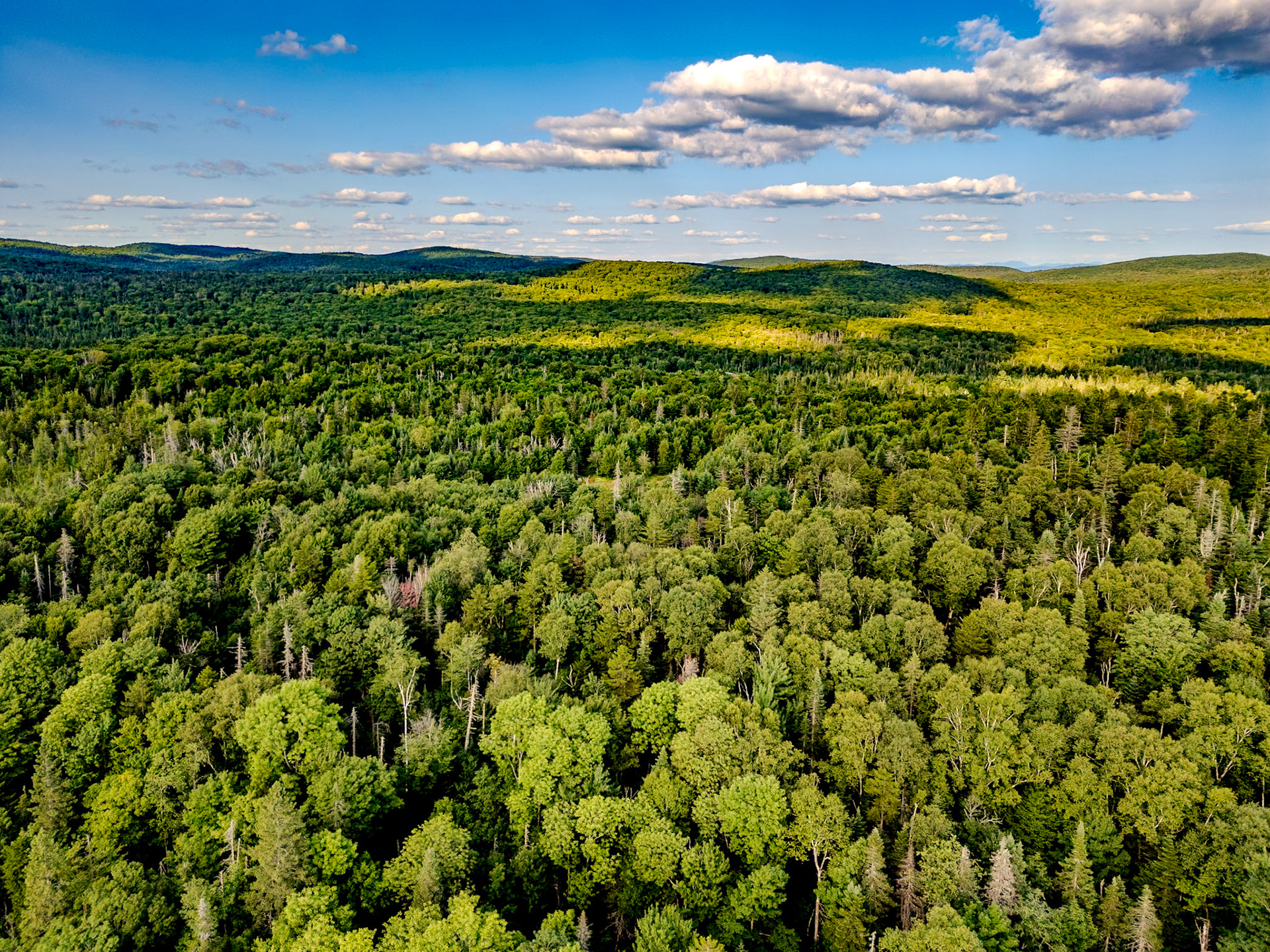 ©Steven Mermelstein. All rights reserved.