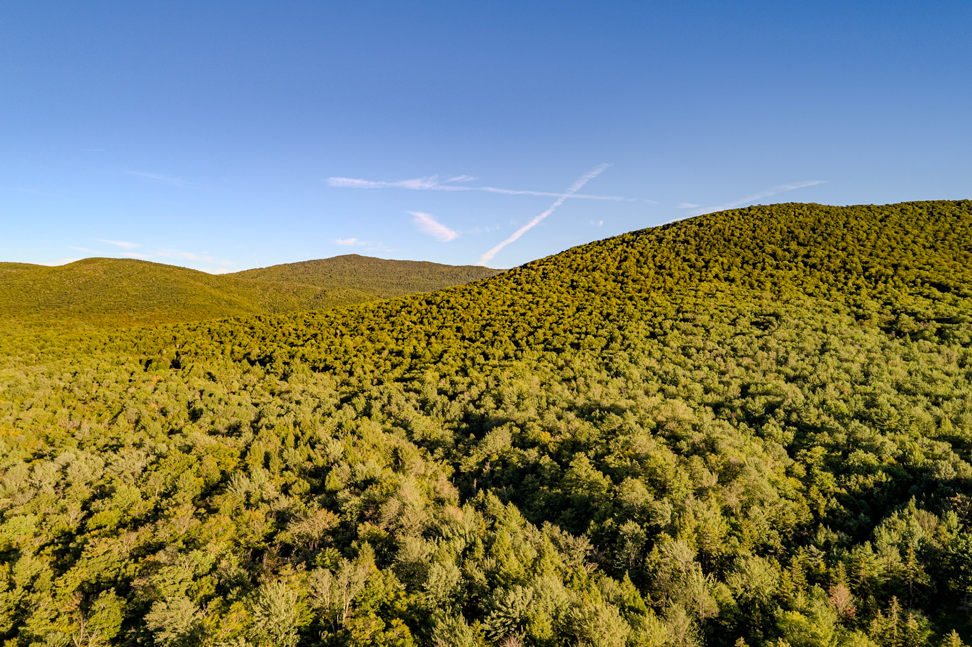 ©Steven Mermelstein. All rights reserved.