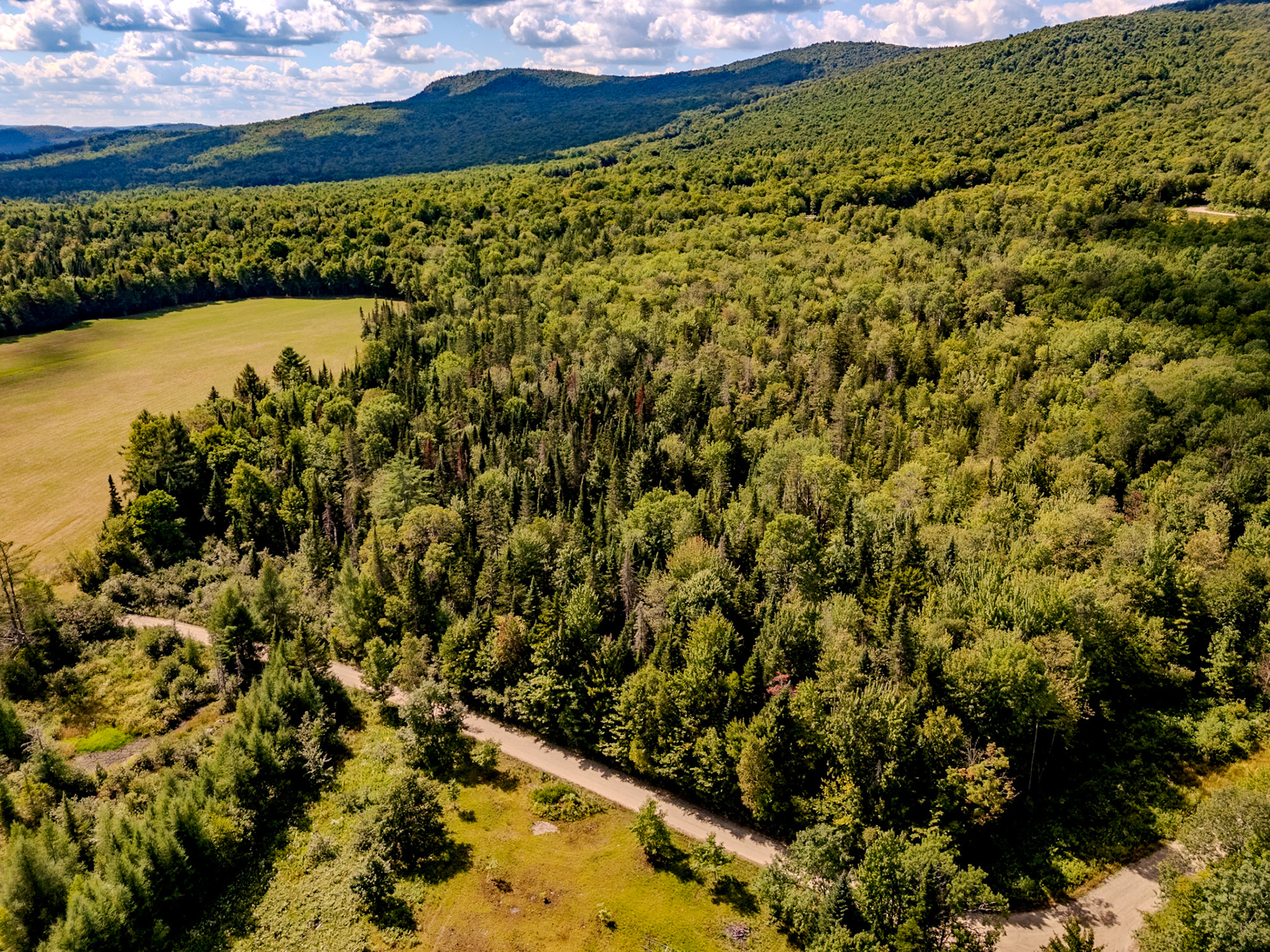 ©Steven Mermelstein. All rights reserved.