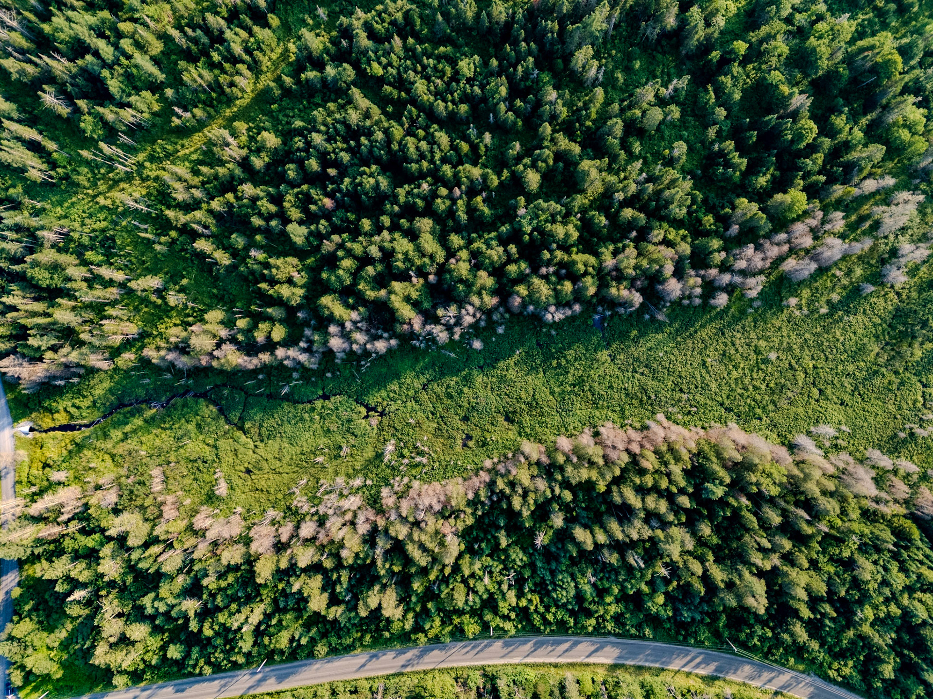 ©Steven Mermelstein. All rights reserved.