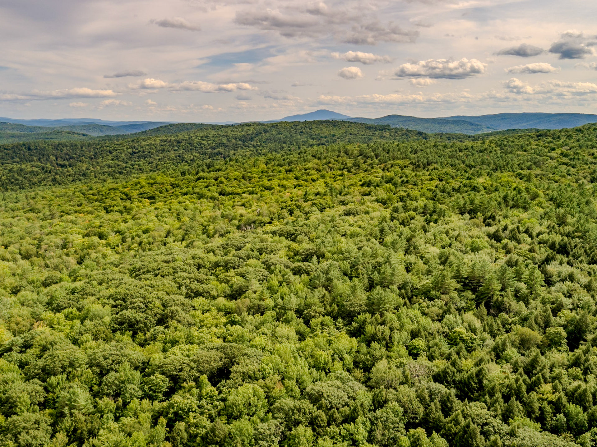 ©Steven Mermelstein. All rights reserved.