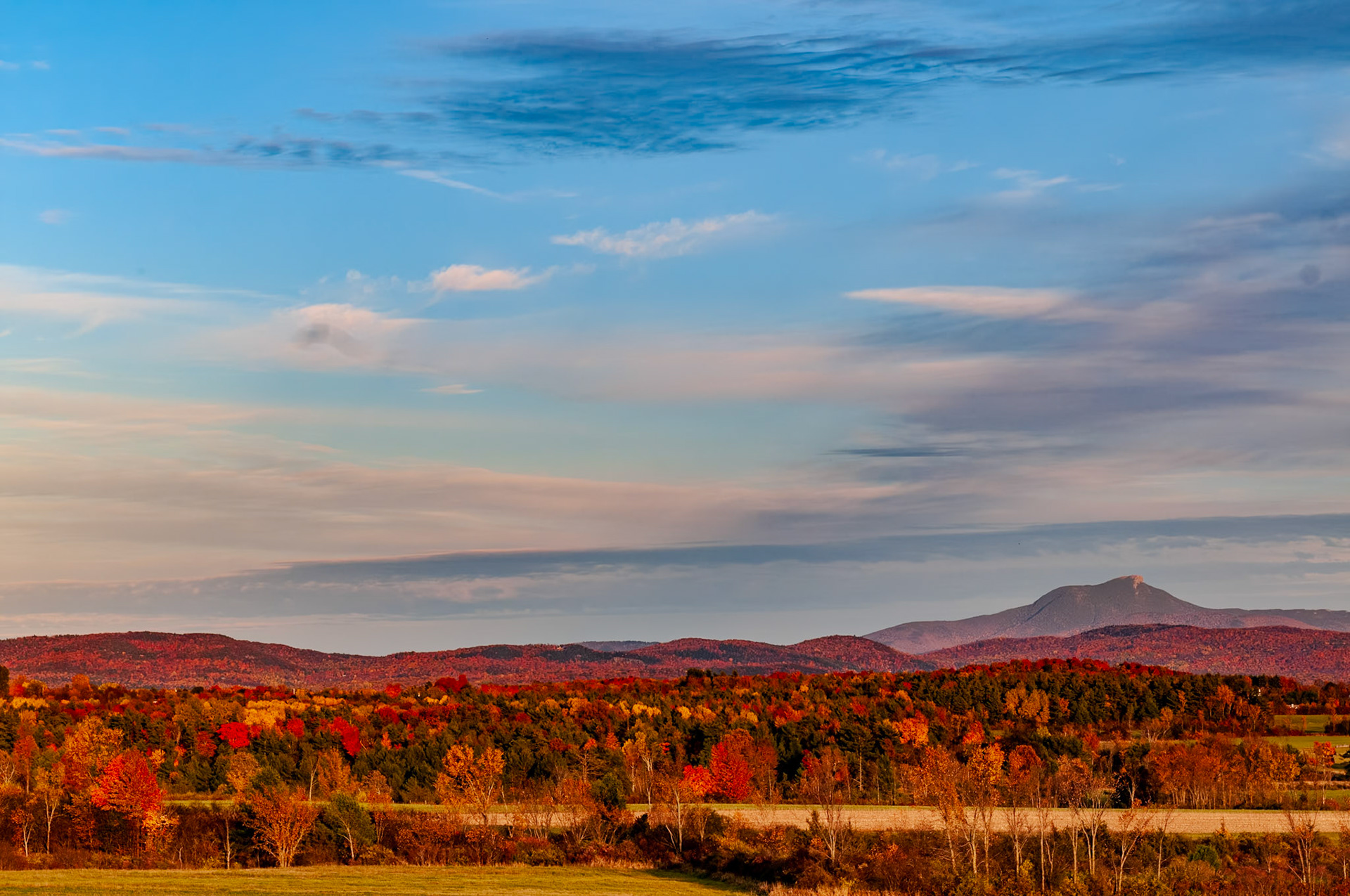 105 mm f/8.0 at 1/250 sec 0 EV 200 ISO ©Steven Mermelstein. All rights reserved. #20081015173927