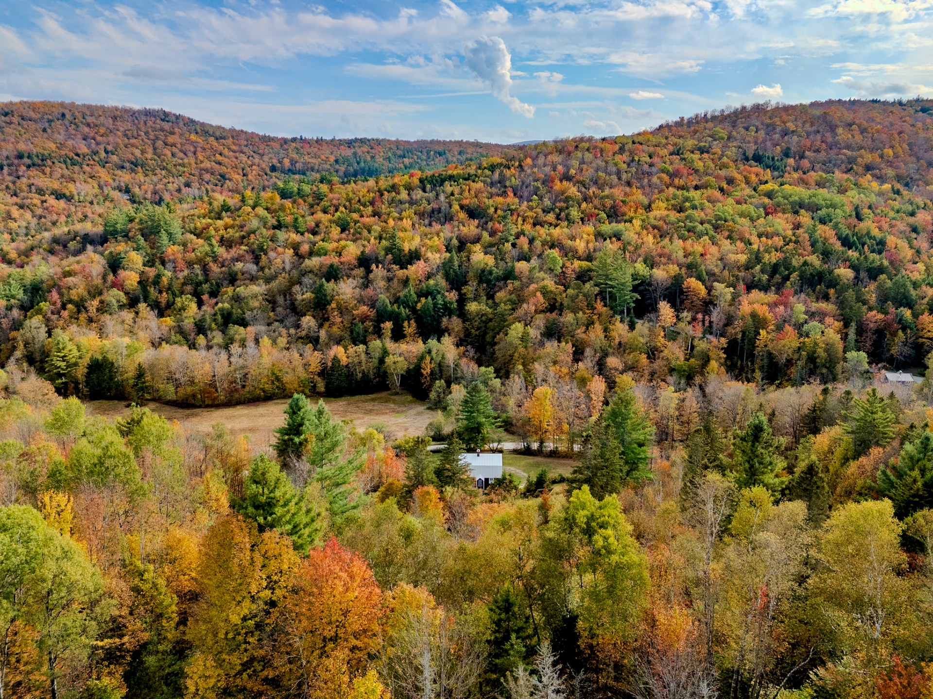 ©Steven Mermelstein. All rights reserved.