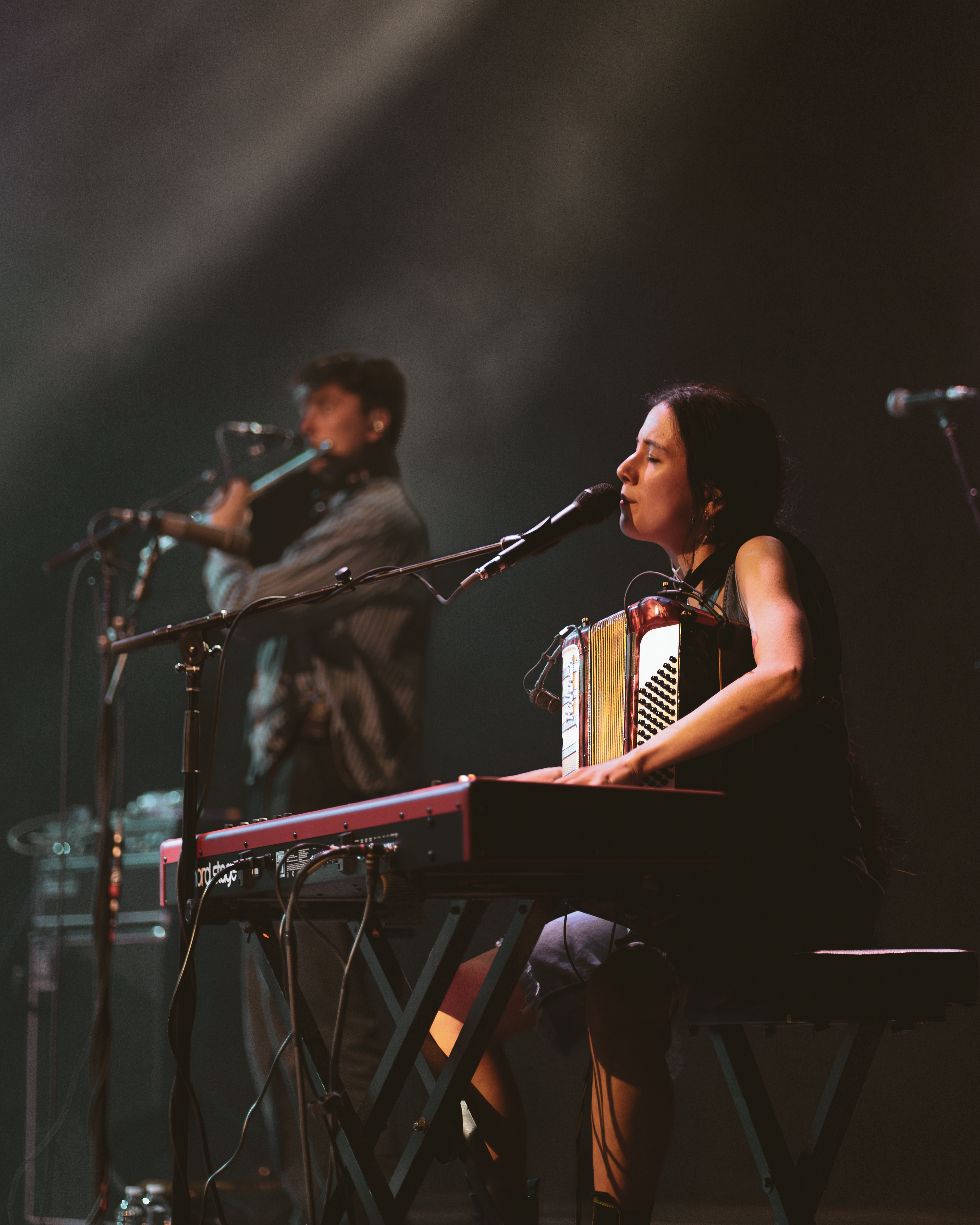 Black Country, New Road / Salt Shed / 2025