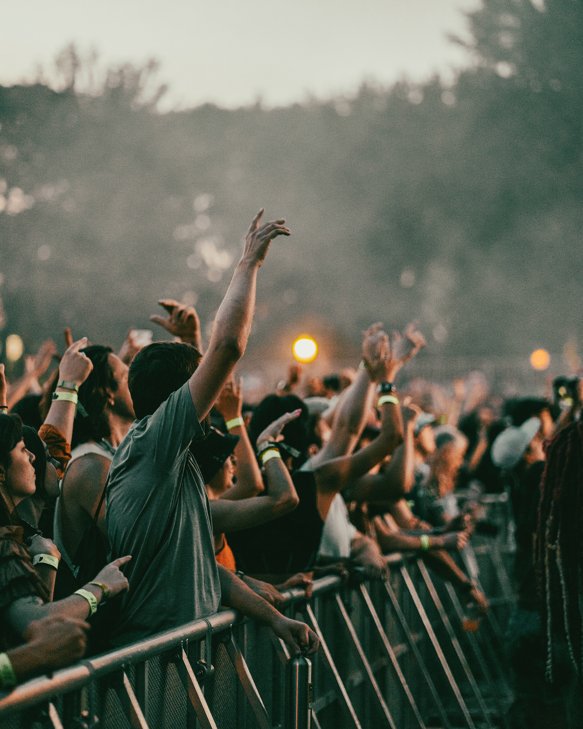 Crowd