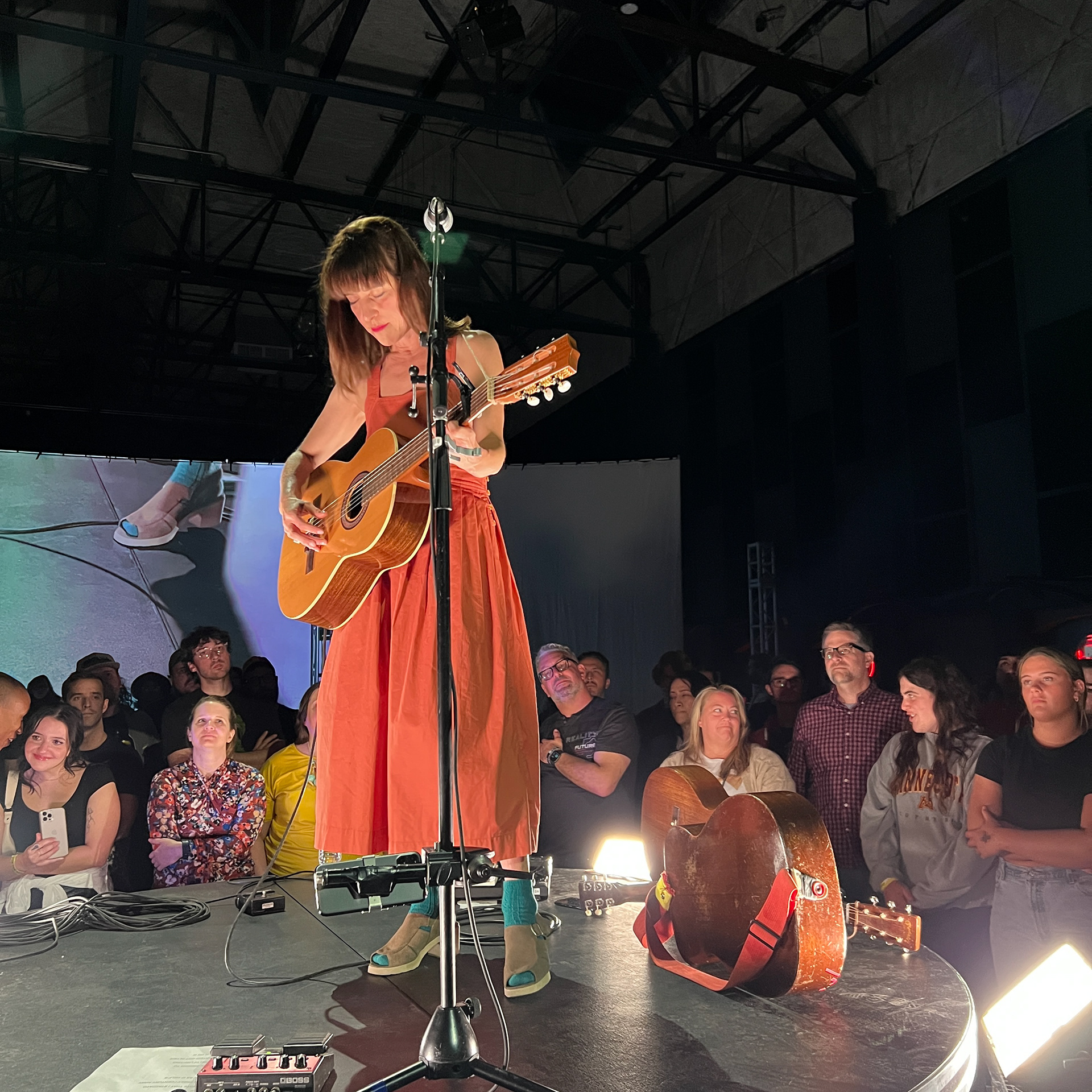 Feist / the radius / 2023