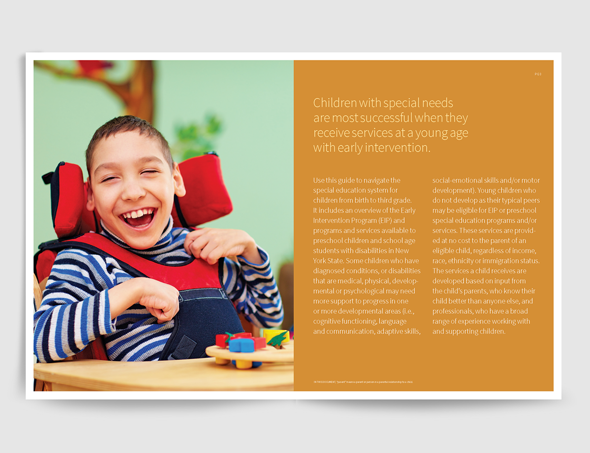 Ruth & Co. New York State Education Department