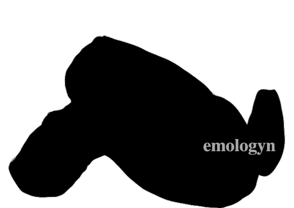Animation
