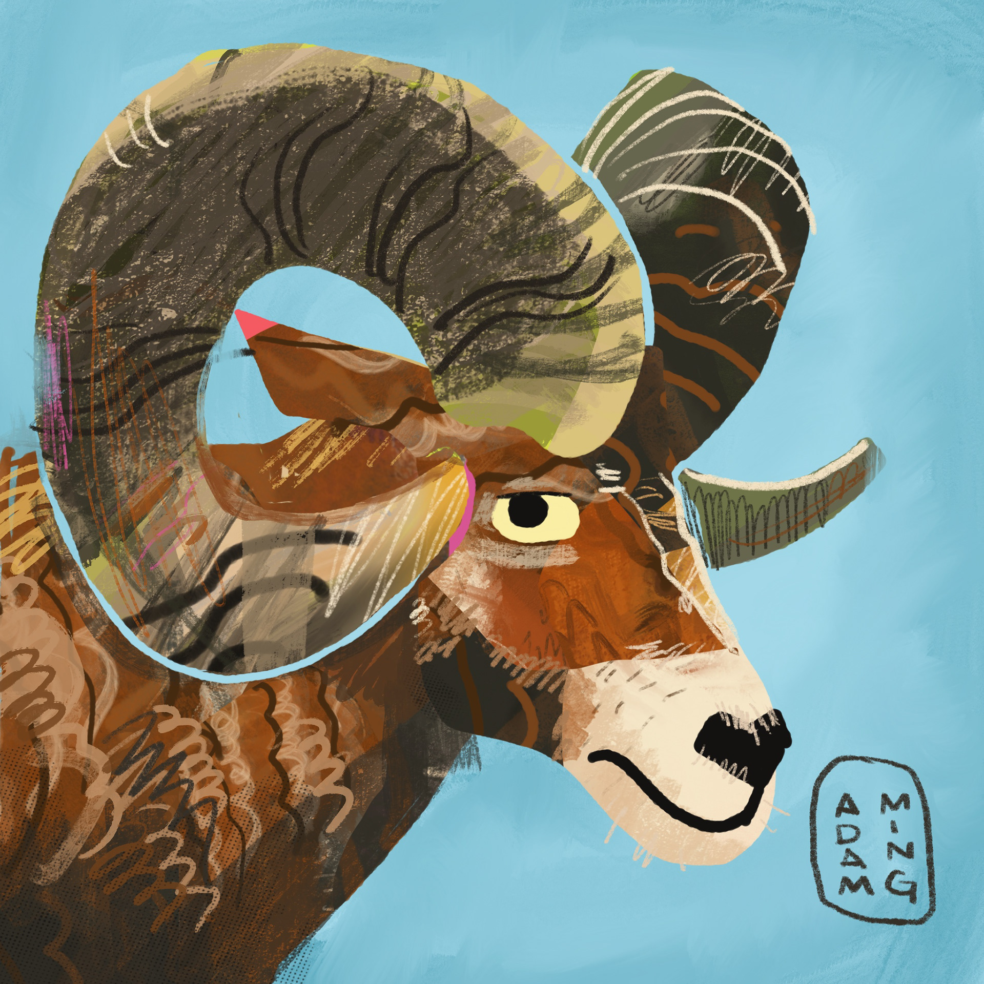Horned Sheep Kid Illustration