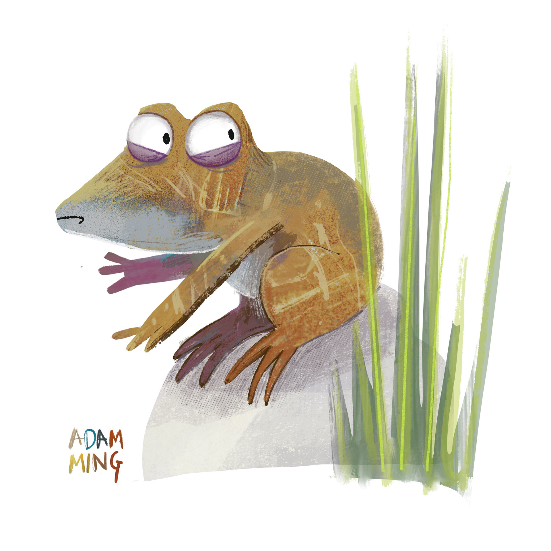 Frog