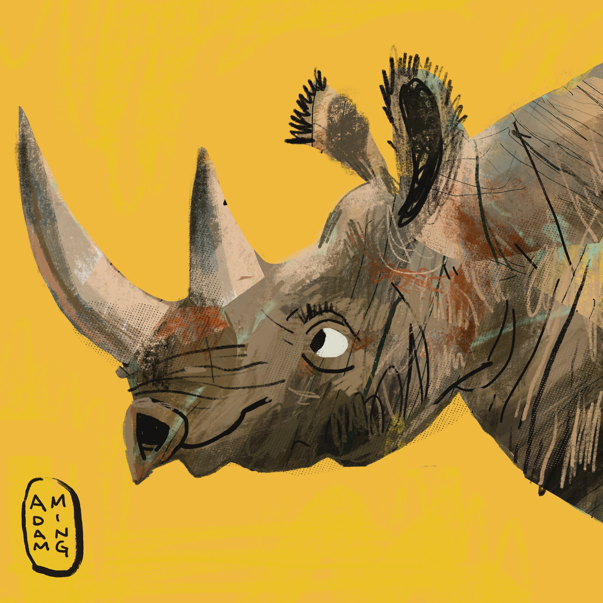 Rhino illustration