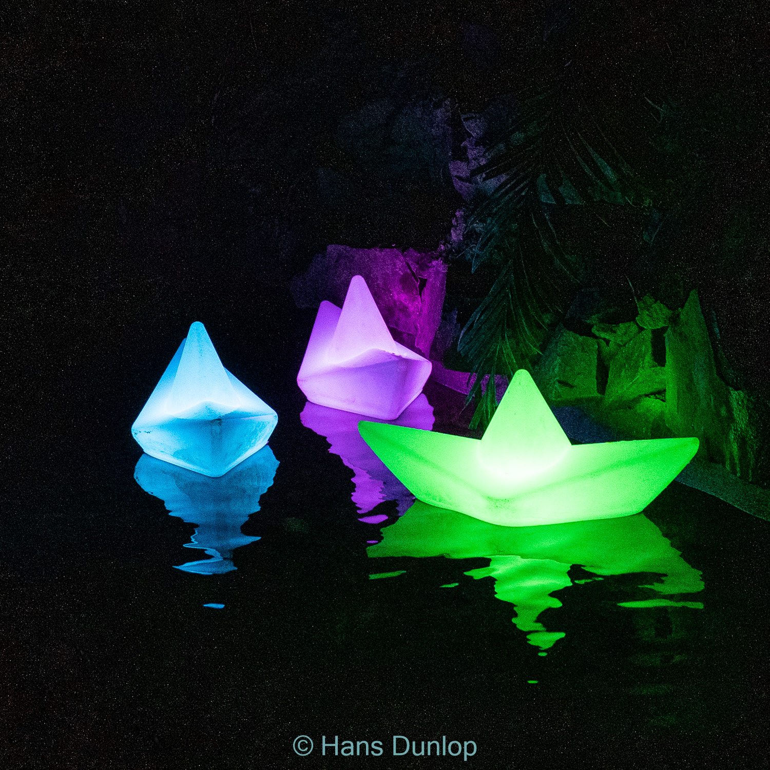 Christmas Garden: Jardin de la Conception