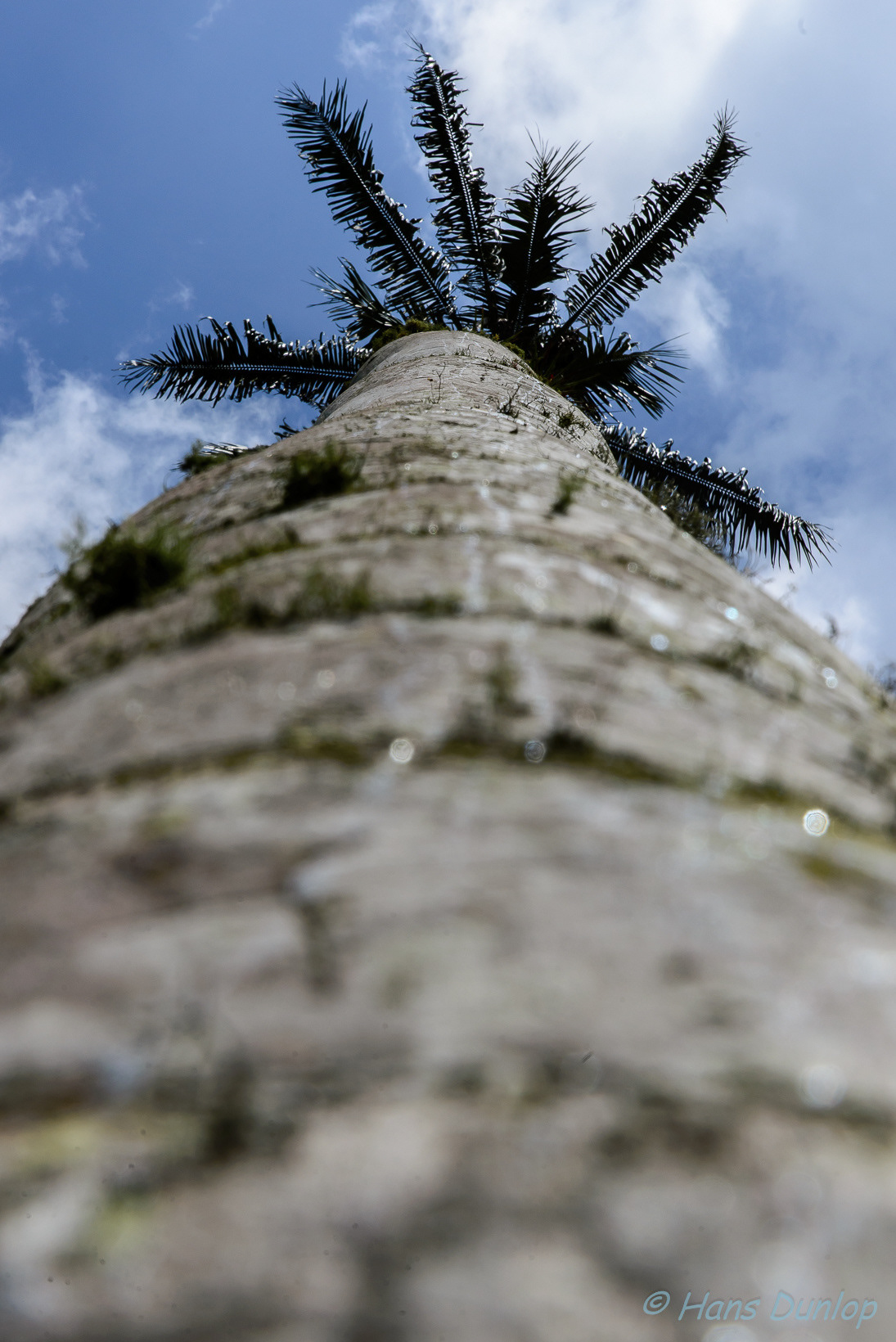 Los Nevadas, Salento, Colombia