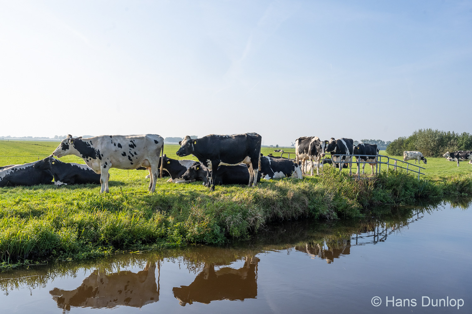 Voddijkpad, Schipluiden