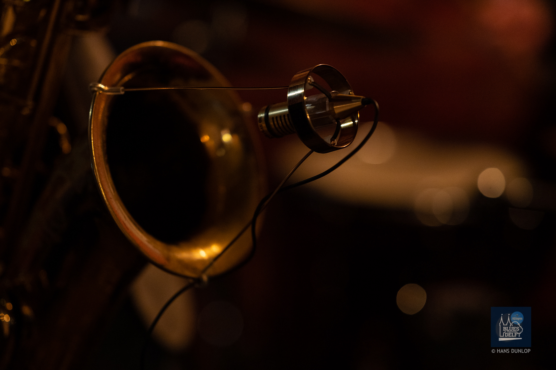 Green Light (De Kat in de Stad)